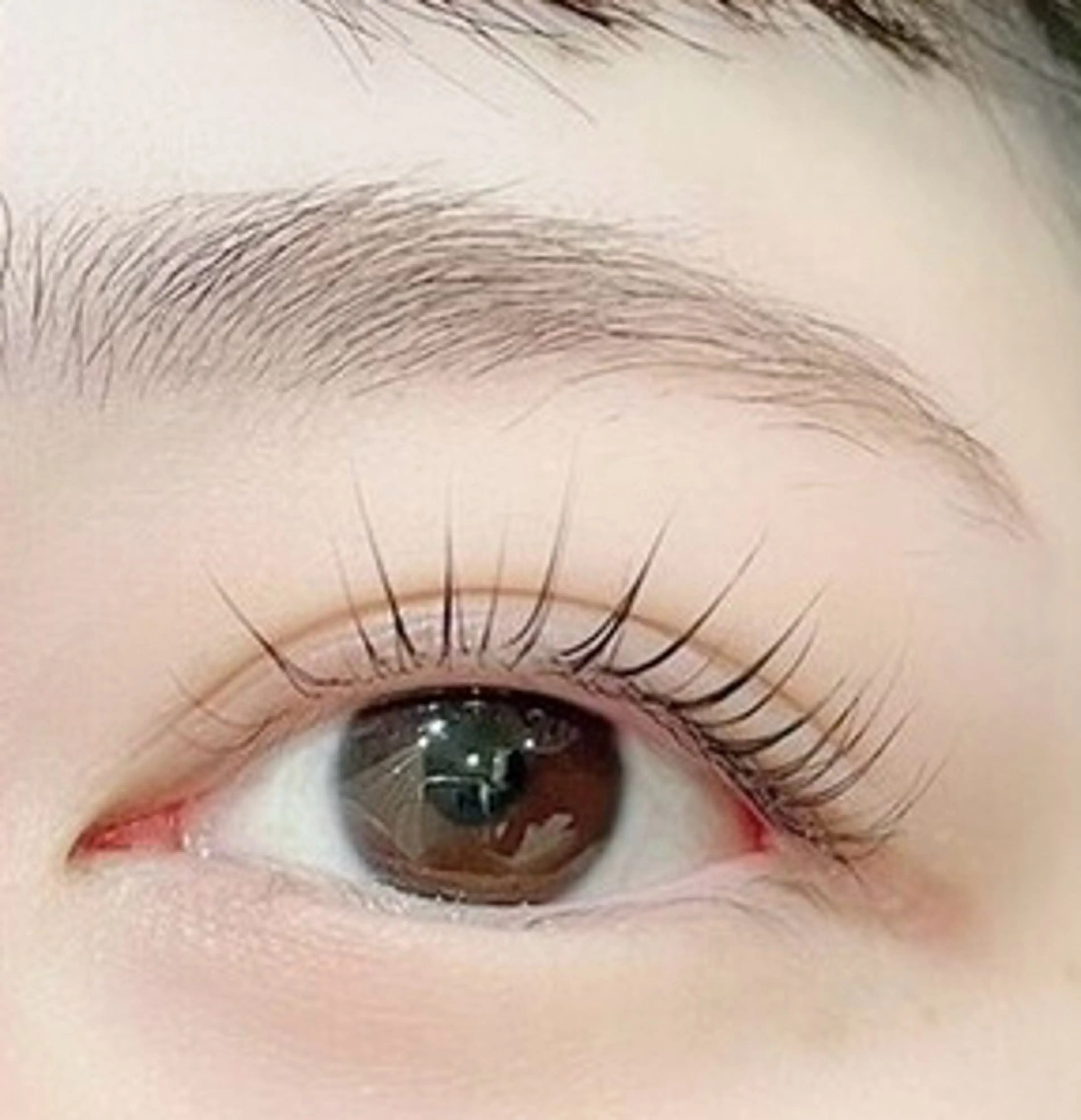 🌼《Open限定価格》眉ワックス×まつげパーマ🌼 （コーティング付き）の写真