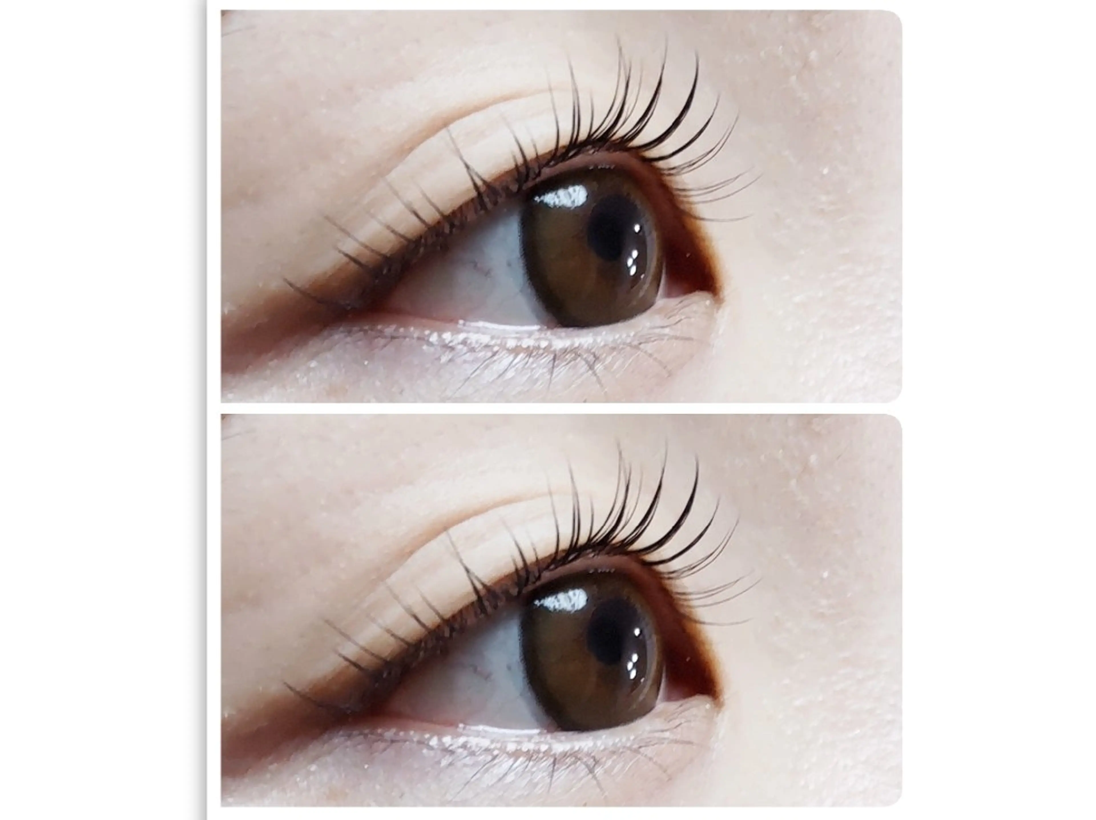 マツエク・マツパ 🎼グラデーション スタイル札幌♫*✧のマツエク・マツパデザイン