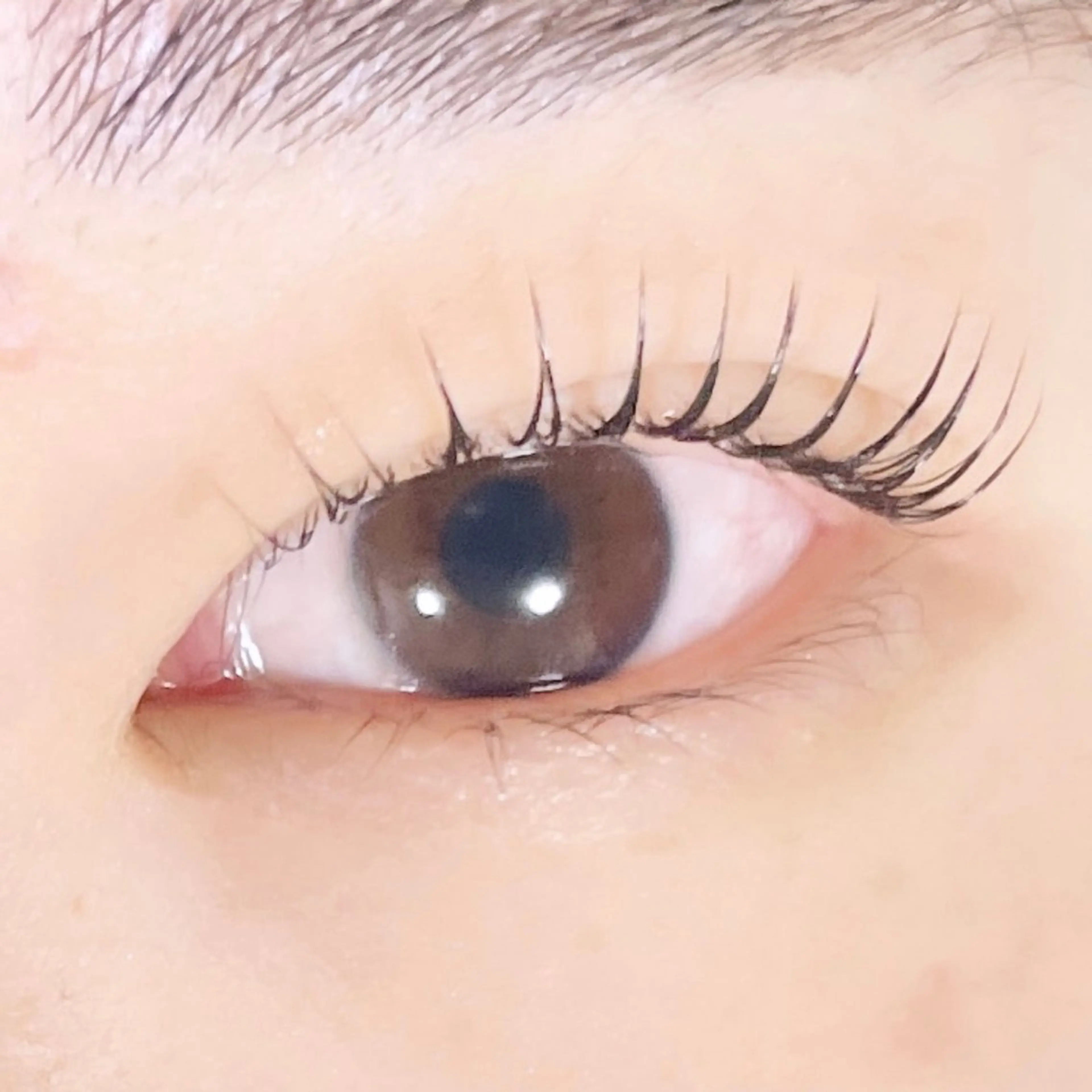 マツエク・マツパ TAKEO🖤 マリーテレジア藤が丘のマツエク・マツパデザイン