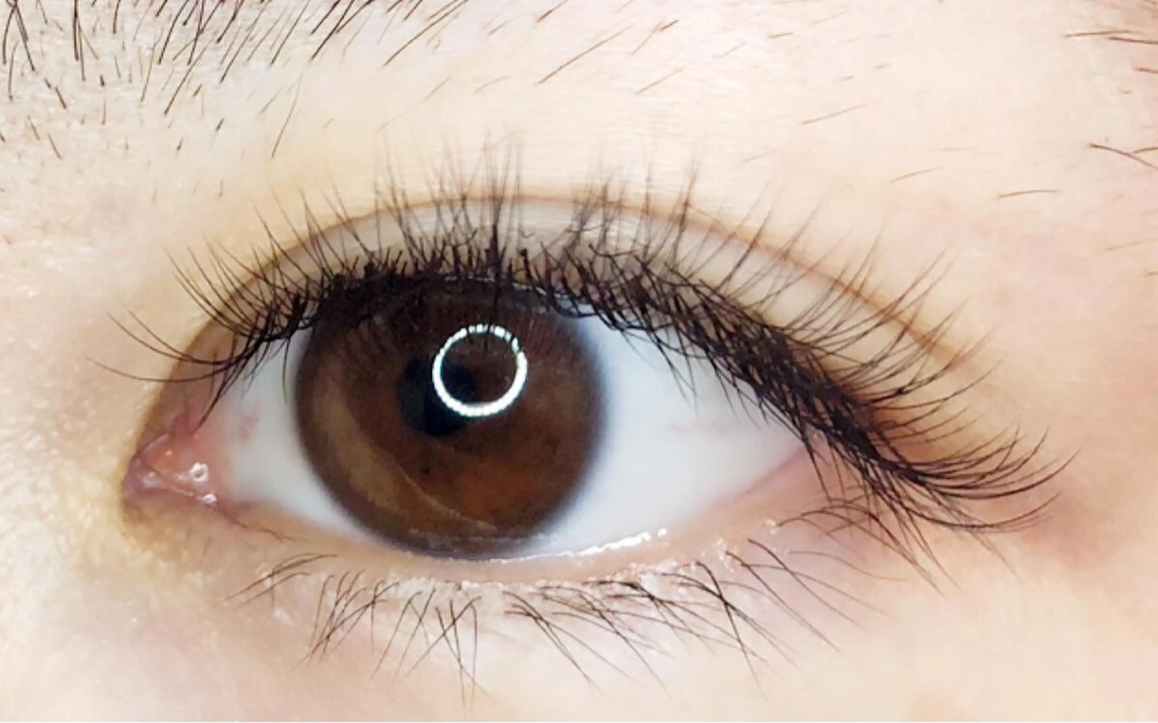 マツエク・マツパ sii. eyelashのマツエク・マツパデザイン