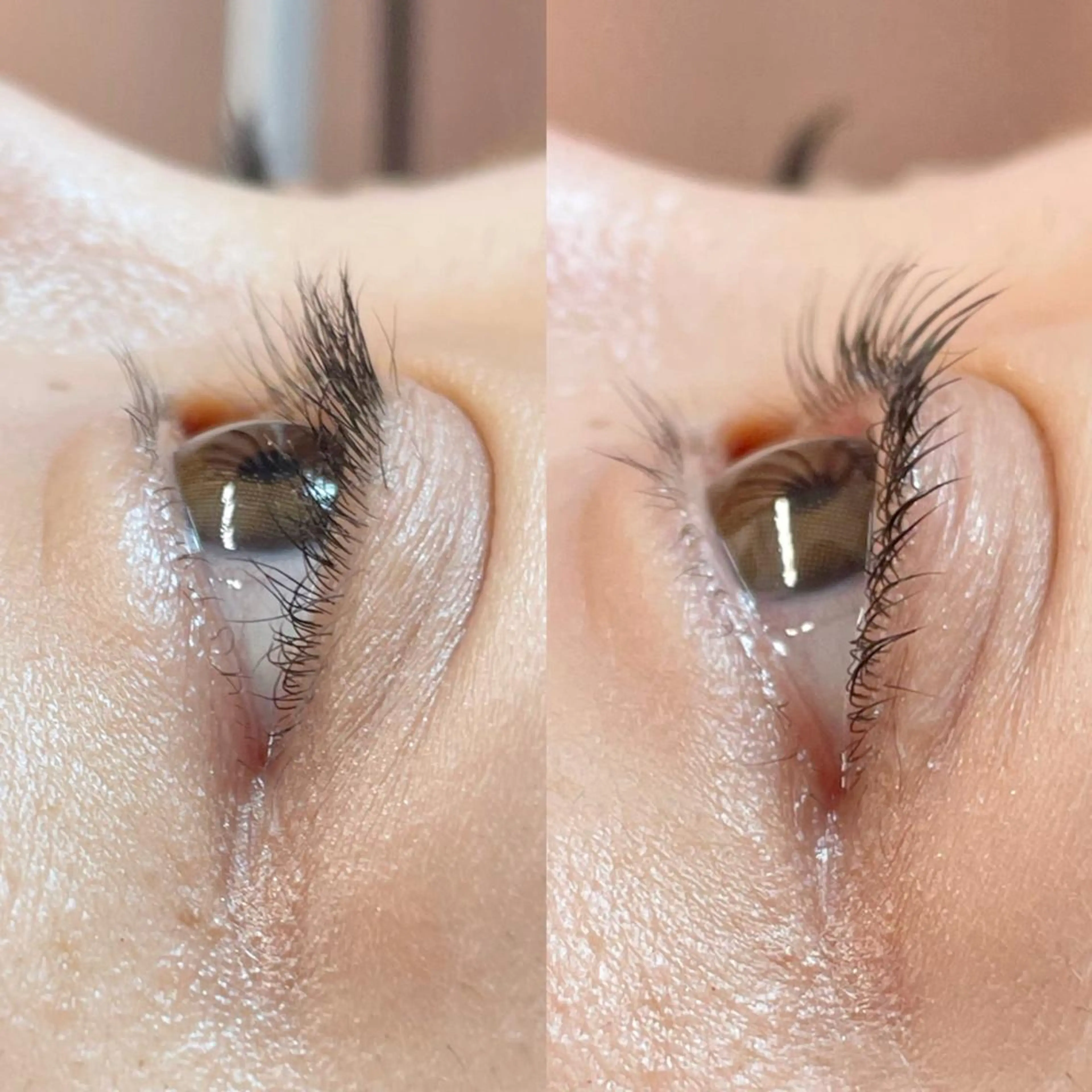 マツエク・マツパ パリジェンヌラッシュリフト eight eyelash池袋店のマツエク・マツパデザイン