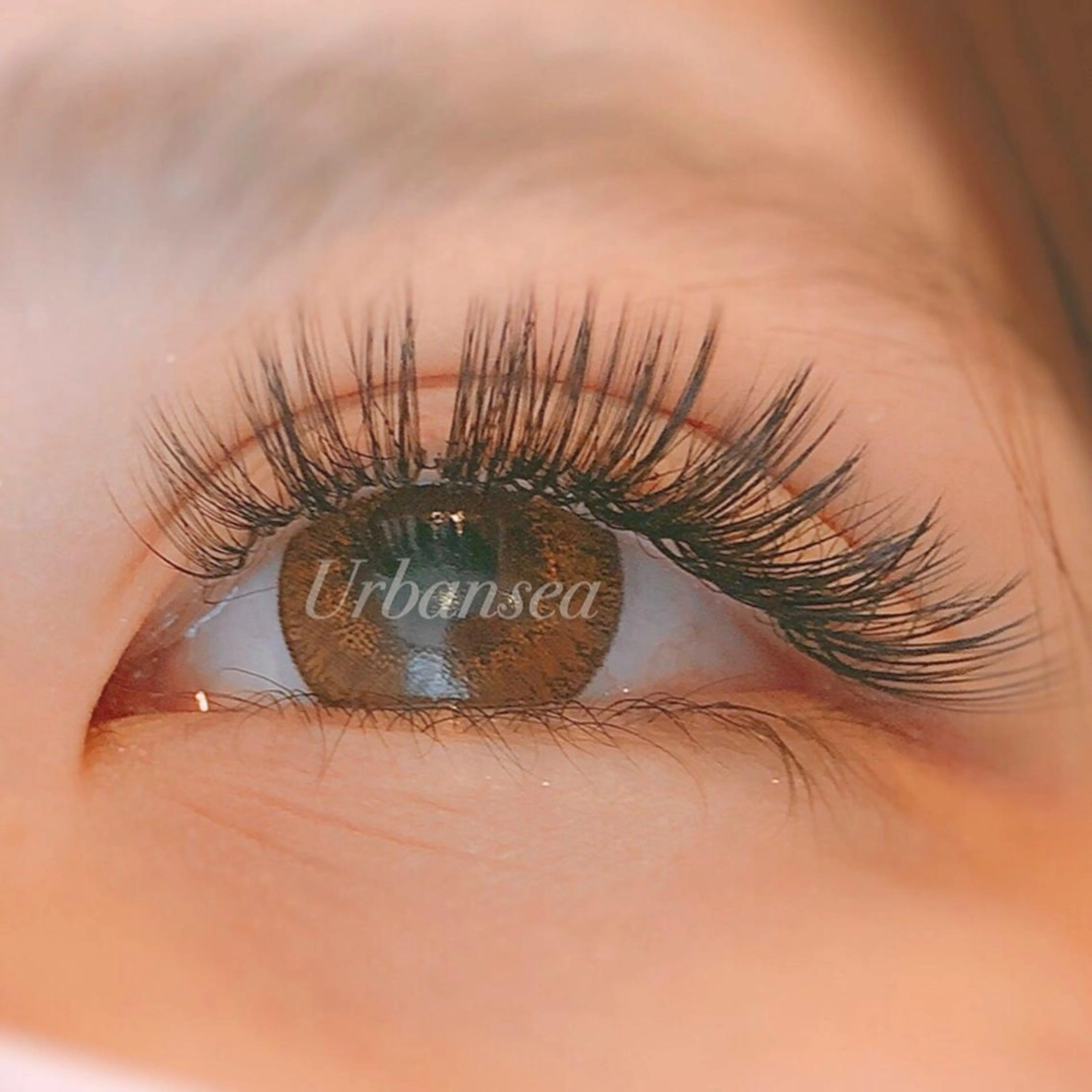 マツエク・マツパ Urbansea Eyelash赤羽の眉毛・アイブロウイメージ