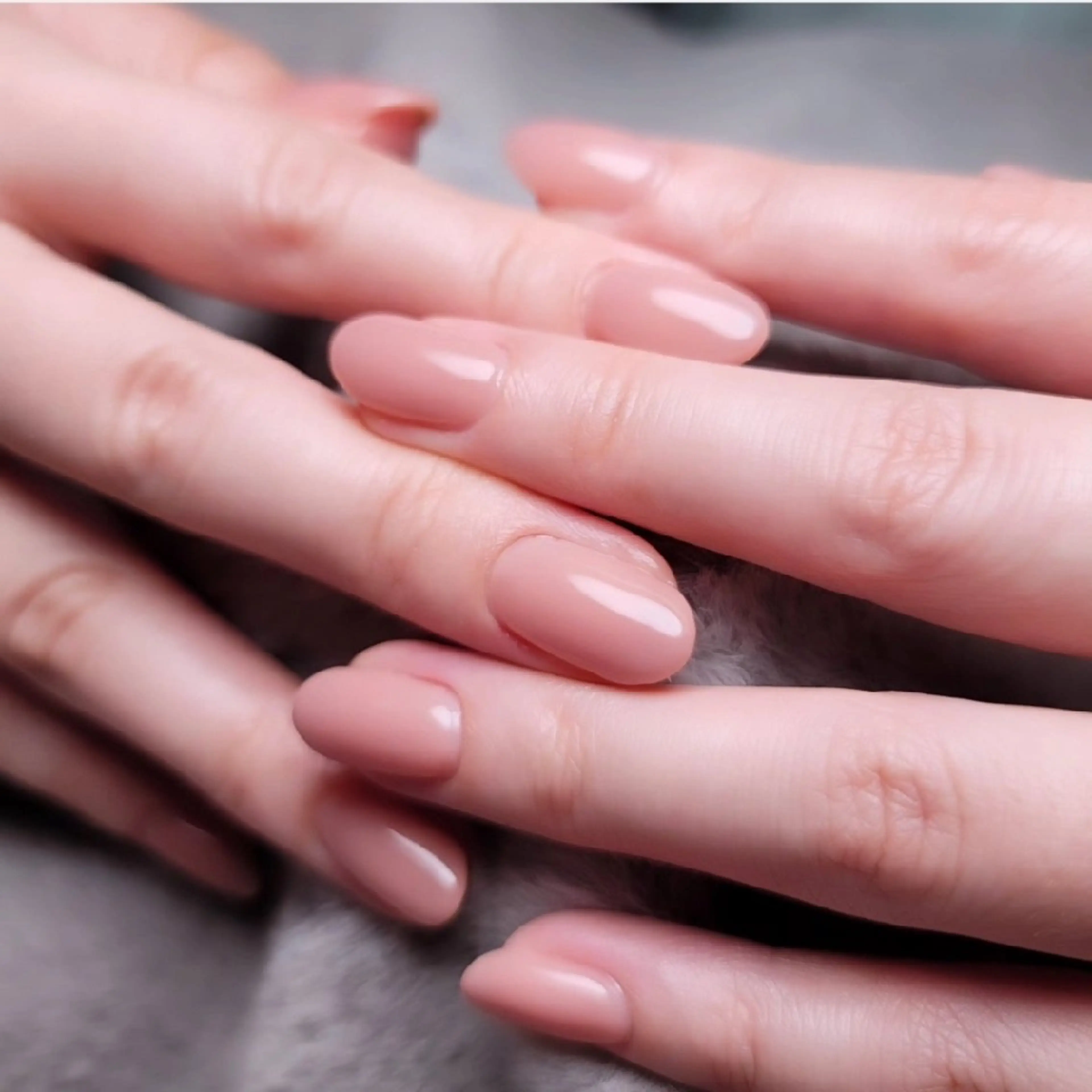 オフなしワンカラーの写真