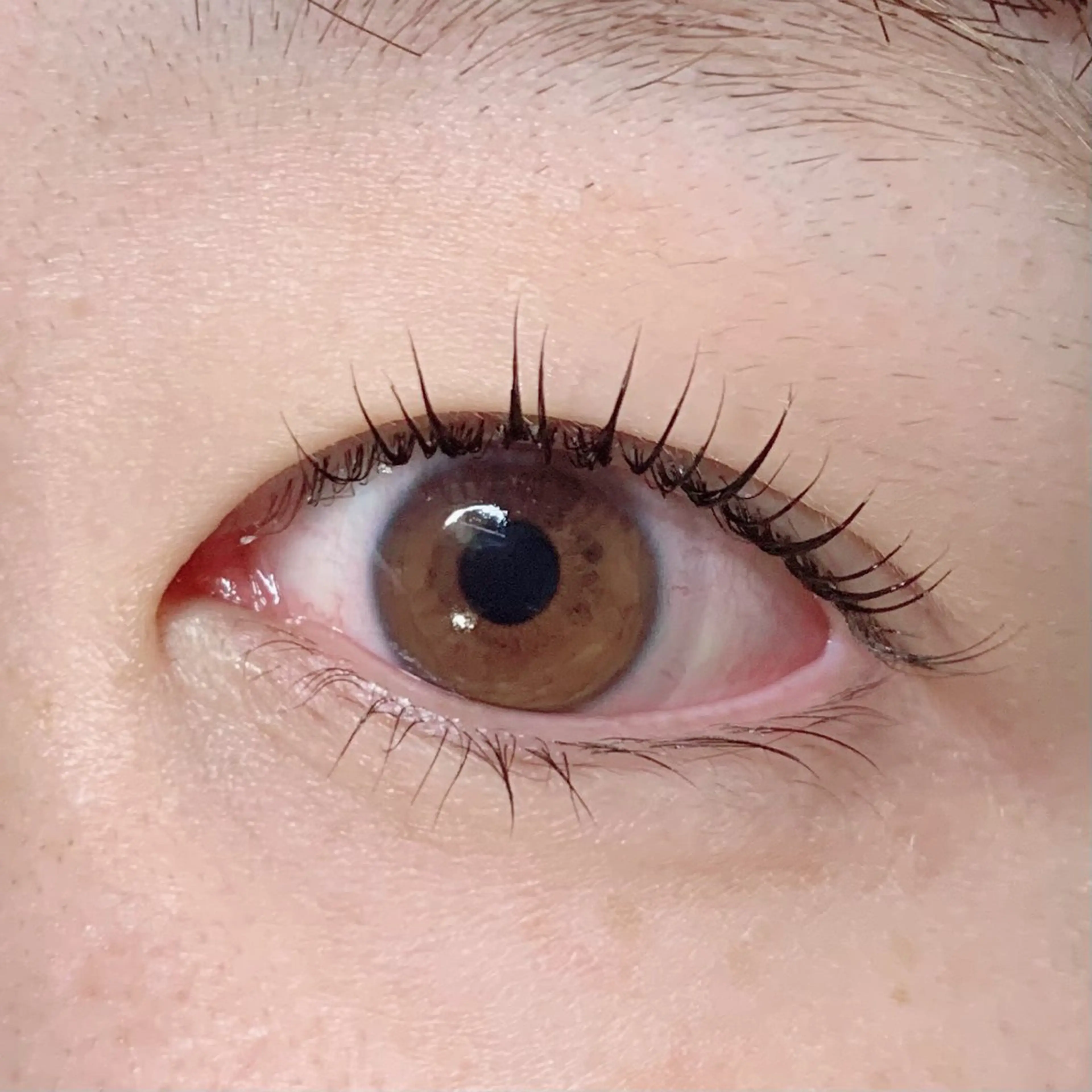 マツエク・マツパ マツパ lifra CHISAのマツエク・マツパデザイン