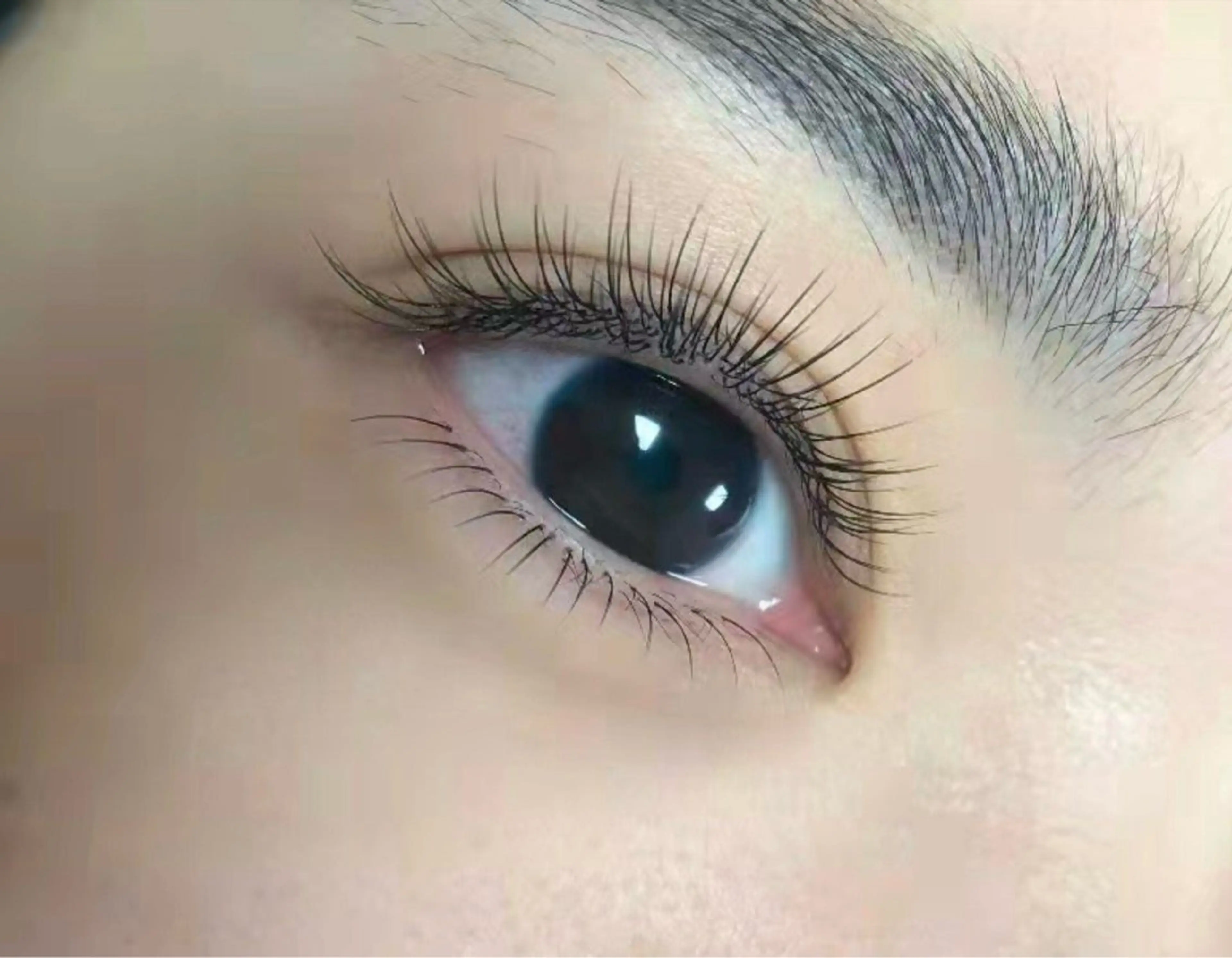 フラットラッシュだい超軽量60本上のみの写真