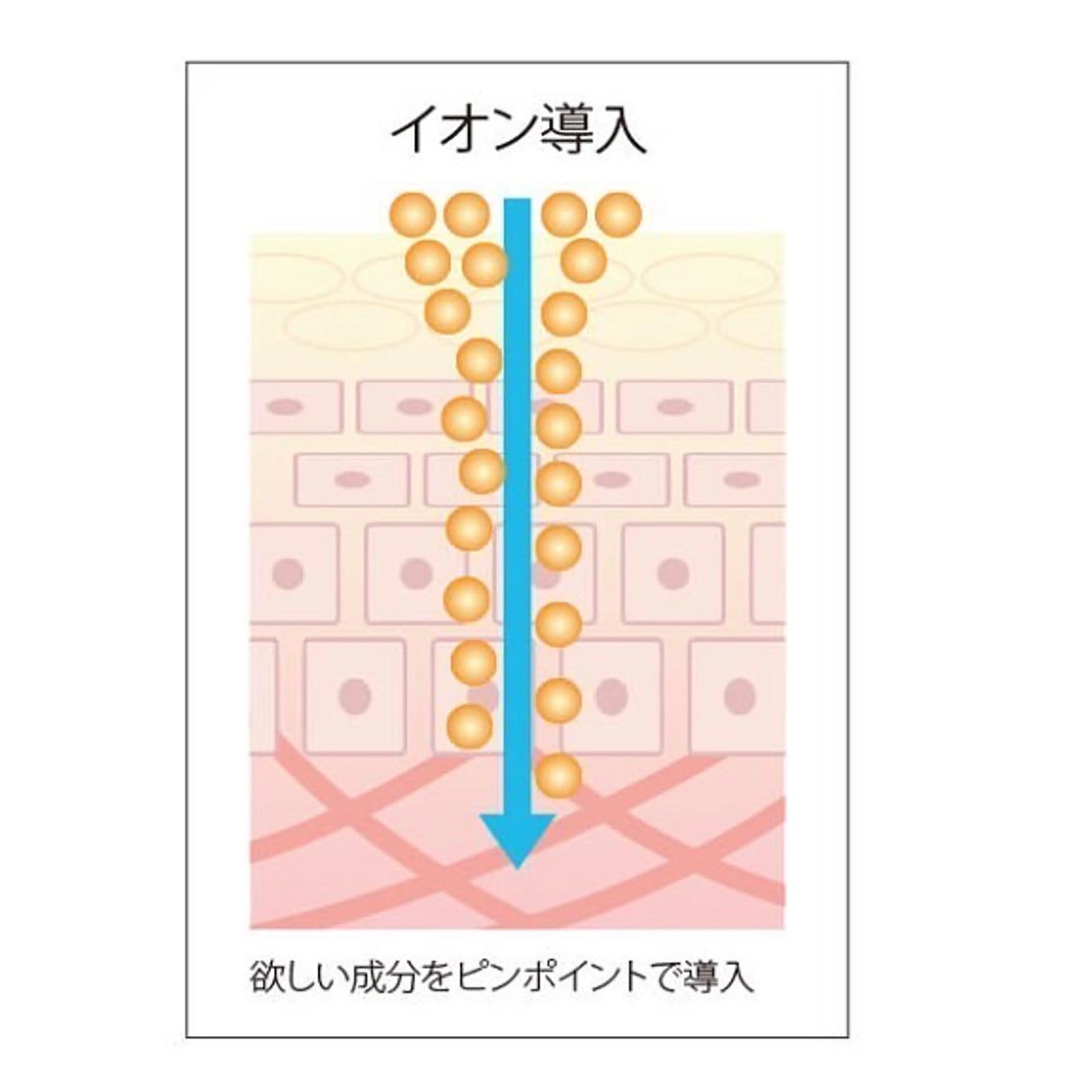 風のテラス 錦糸町北口30秒のエステ・リラクイメージ