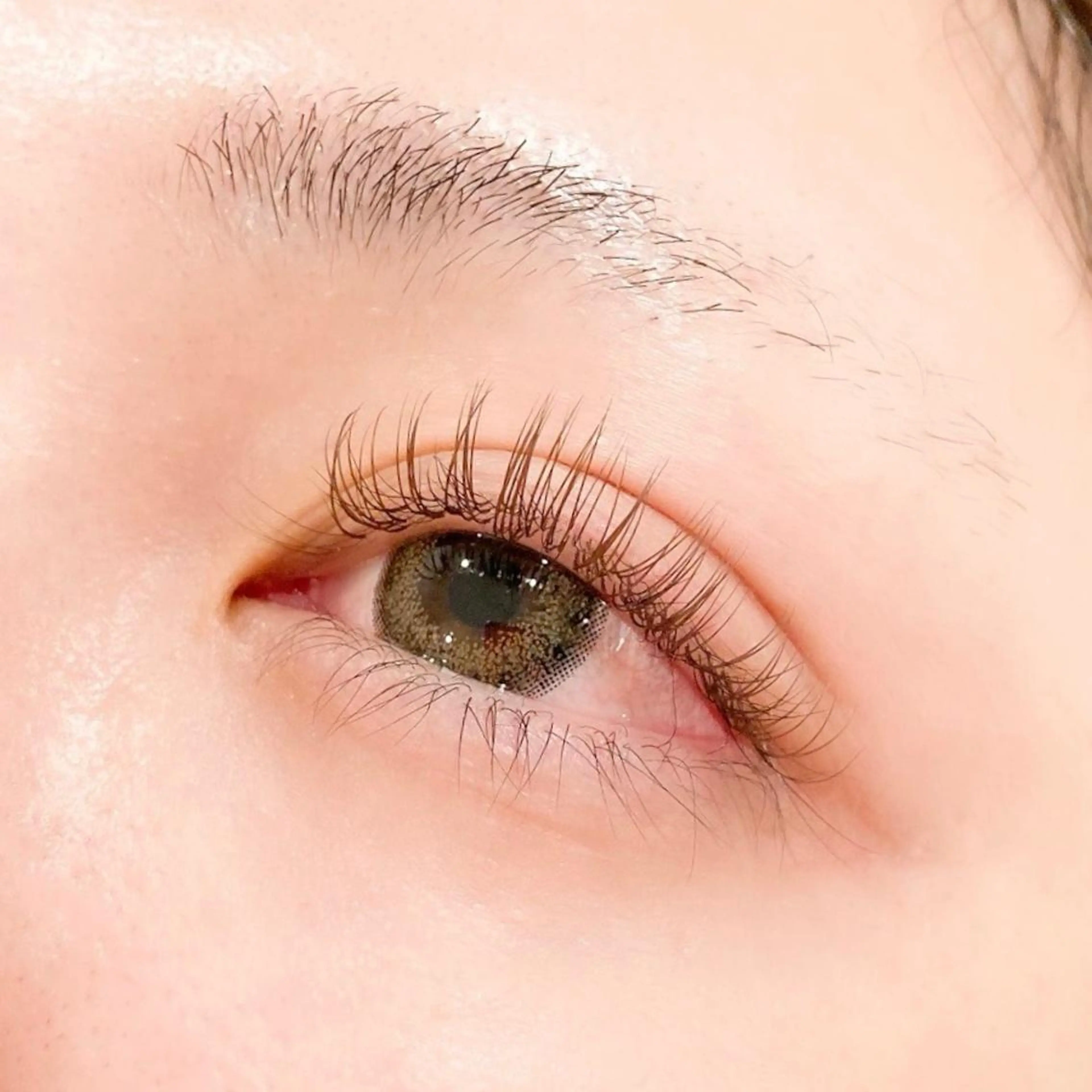 マツエク・マツパ ブラウンラッシュ カラーマツエク Dカール レイフィールド北名古屋所属・レイフィールド 服部のマツエク・マツパデザイン