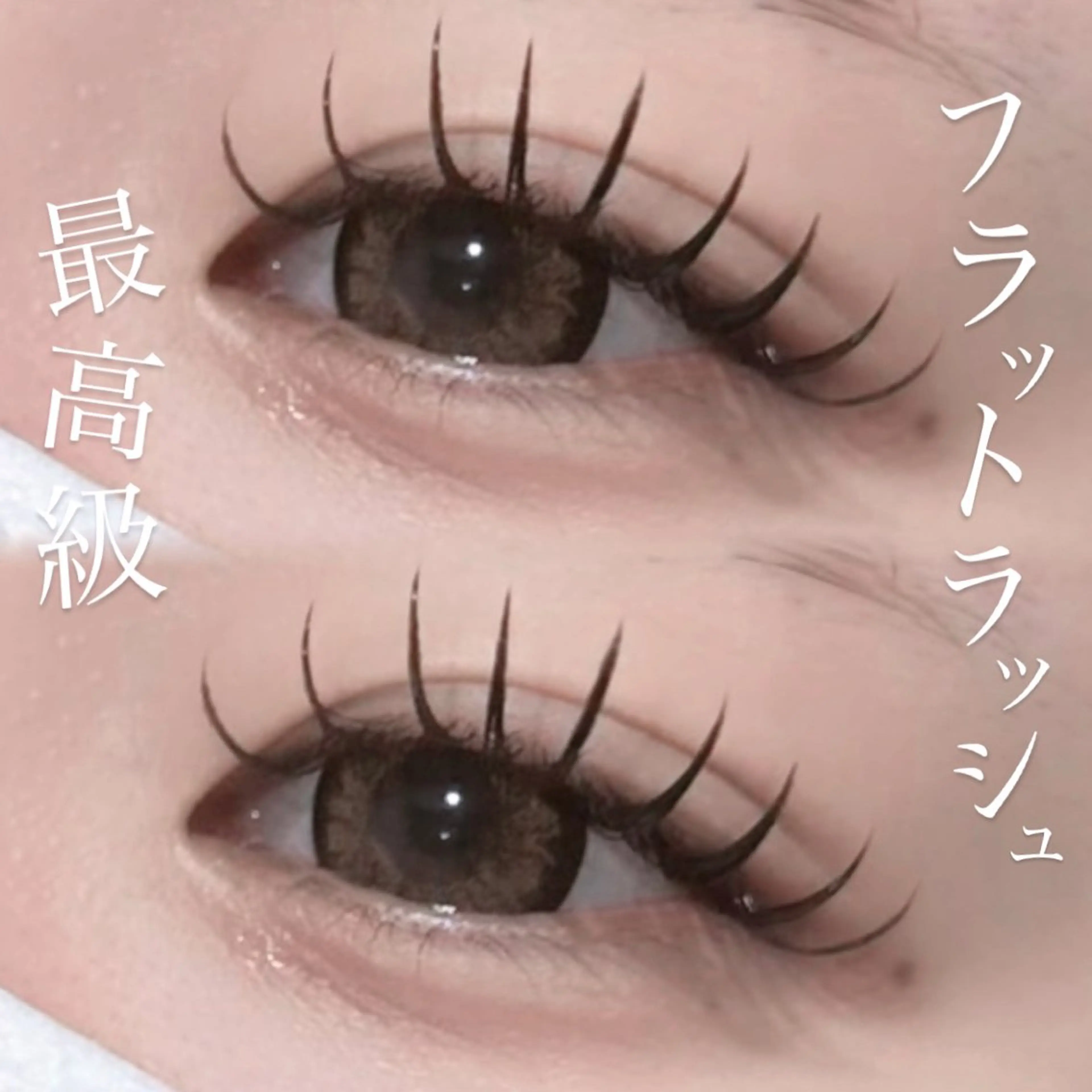 【平日限定‼️】限定✨️最高級フラットラッシュで束感まつエク💖💖💖100本の写真