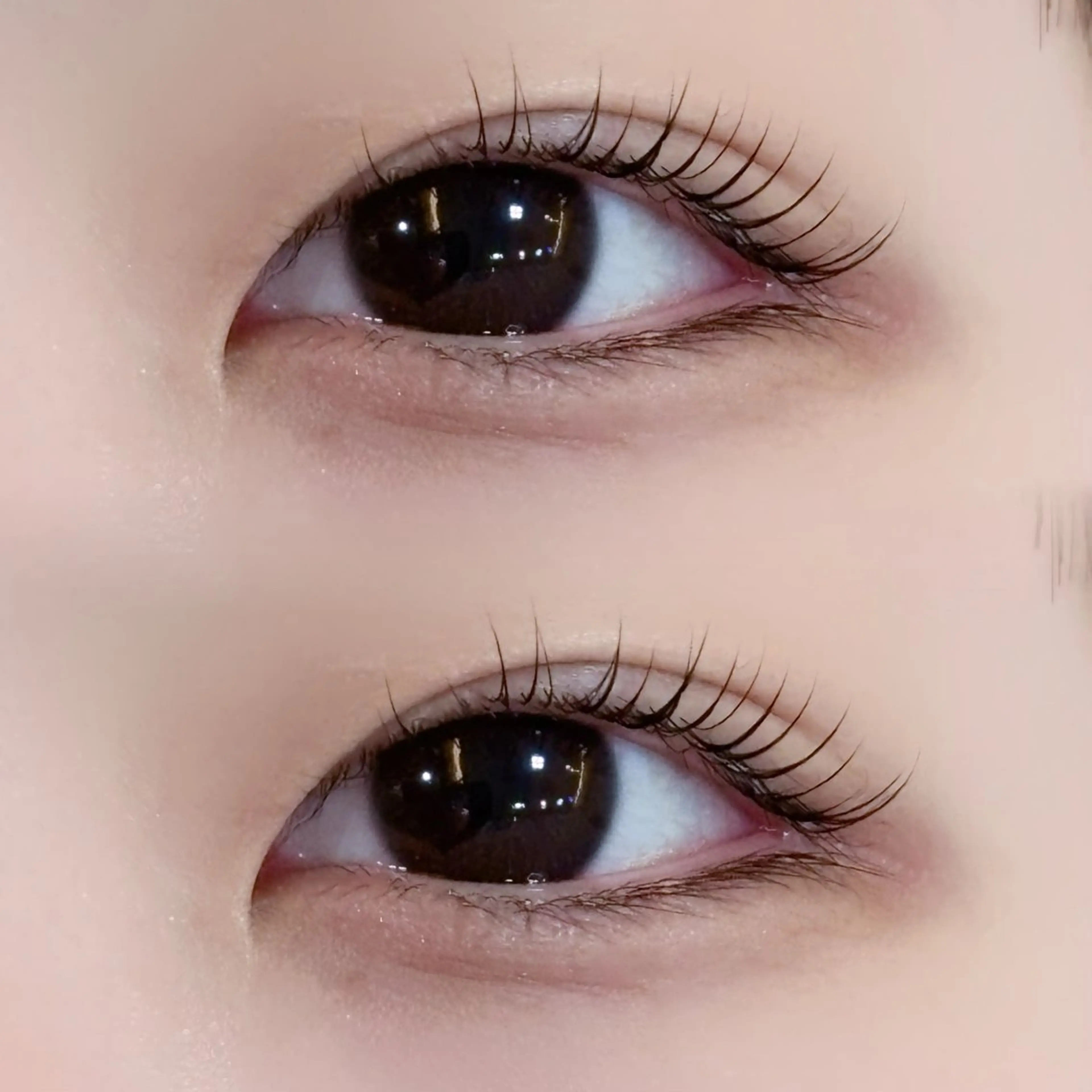 🎀【自然に美しく⟡.·】ナチュラルまつ毛パーマ(メンズも歓迎！)の写真