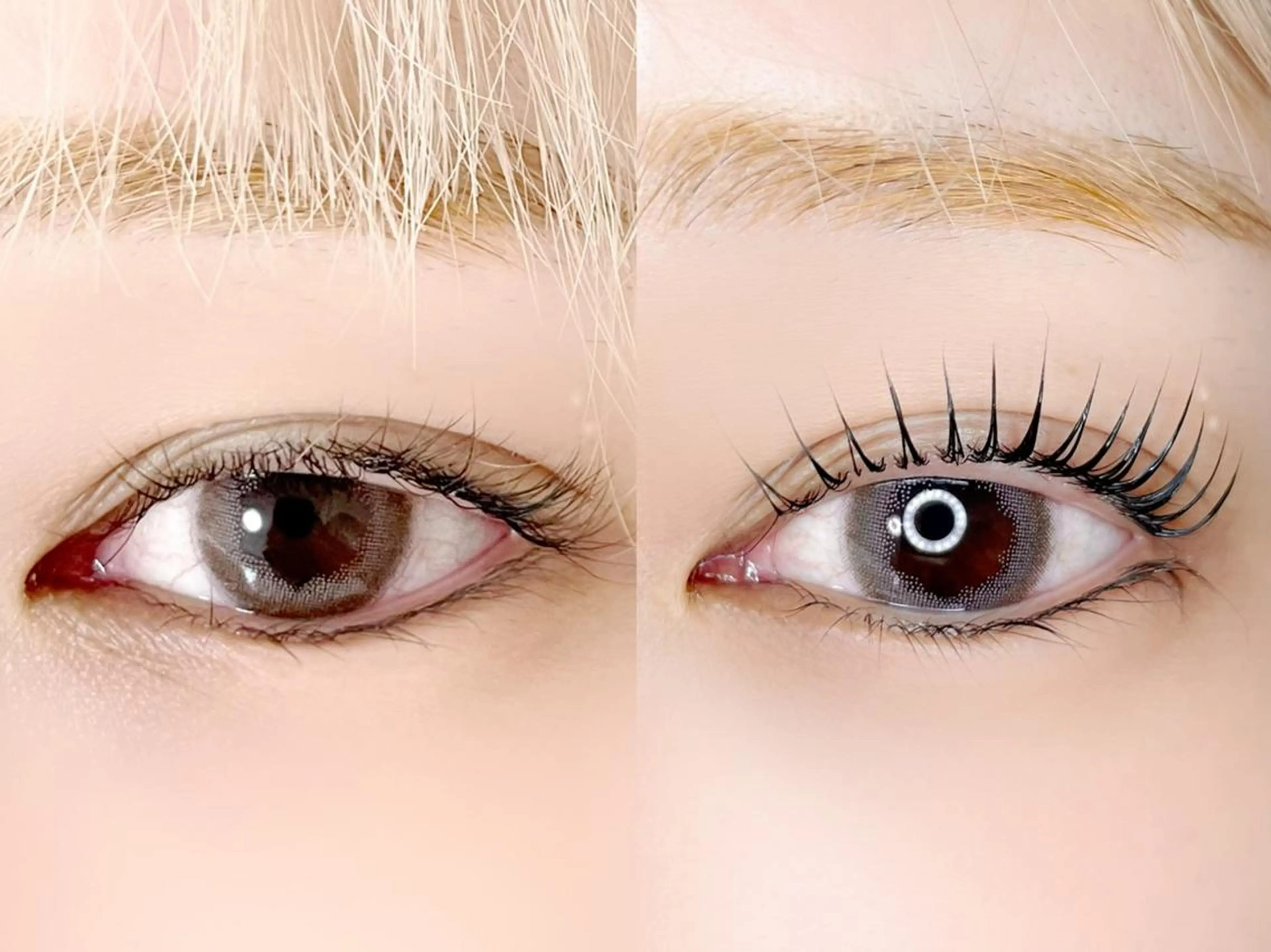 マツエク・マツパ パリジェンヌラッシュリフト Po eyelash ･:* 下北沢のマツエク・マツパデザイン