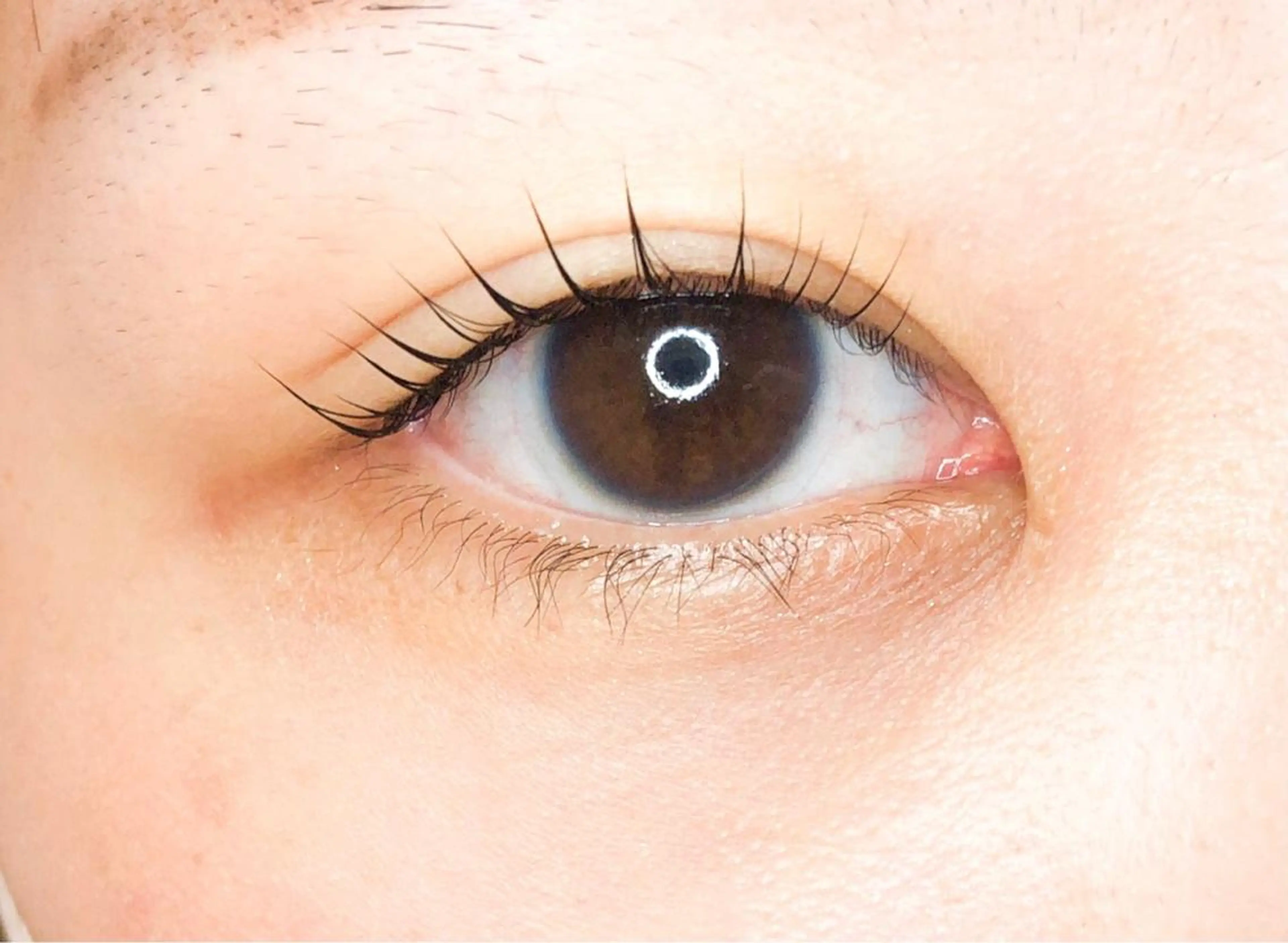 マツエク・マツパ Dimples所属・Dimples ERINAのエステ・リラクイメージ