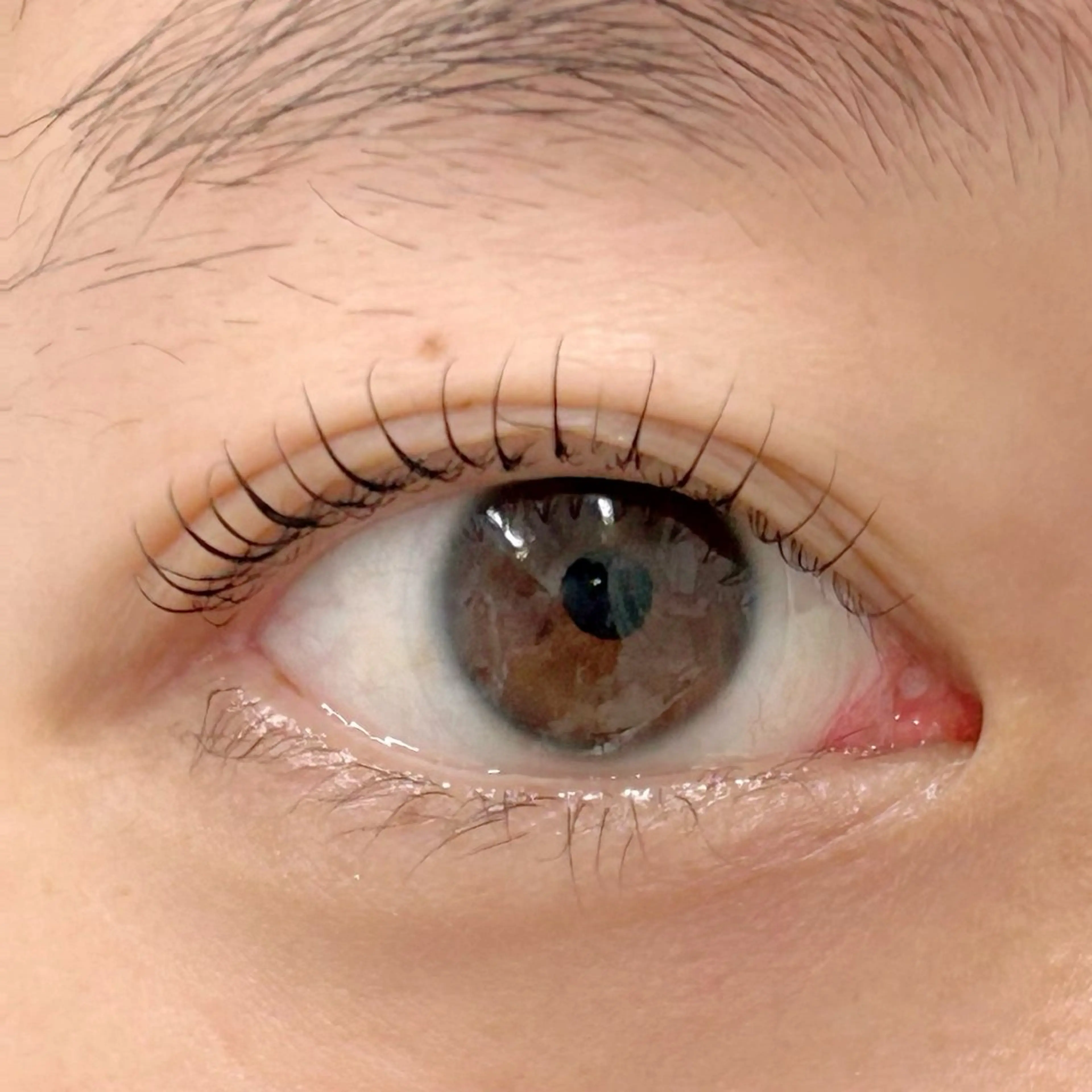 マツエク・マツパ 一重×まつ毛パーマ BellFlower Aki(眉・まつげ)のマツエク・マツパデザイン