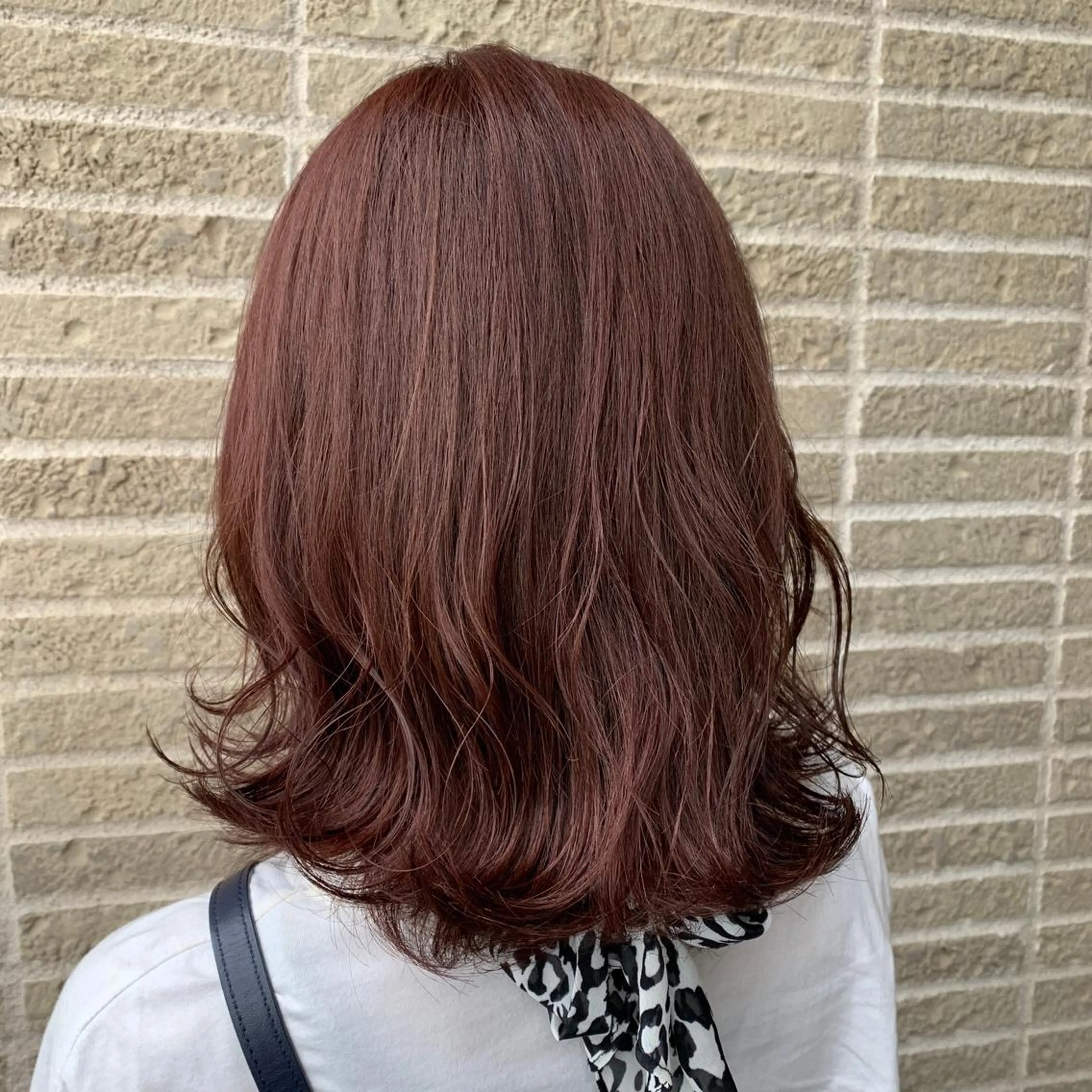 ミディアム カラー ブリーチ ボルドーカラー ハイライトカラー ブリーチなしカラー ハイライト ヘアカラー トリートメント ぱつっとボブ/ 小野あかねのヘアスタイル
