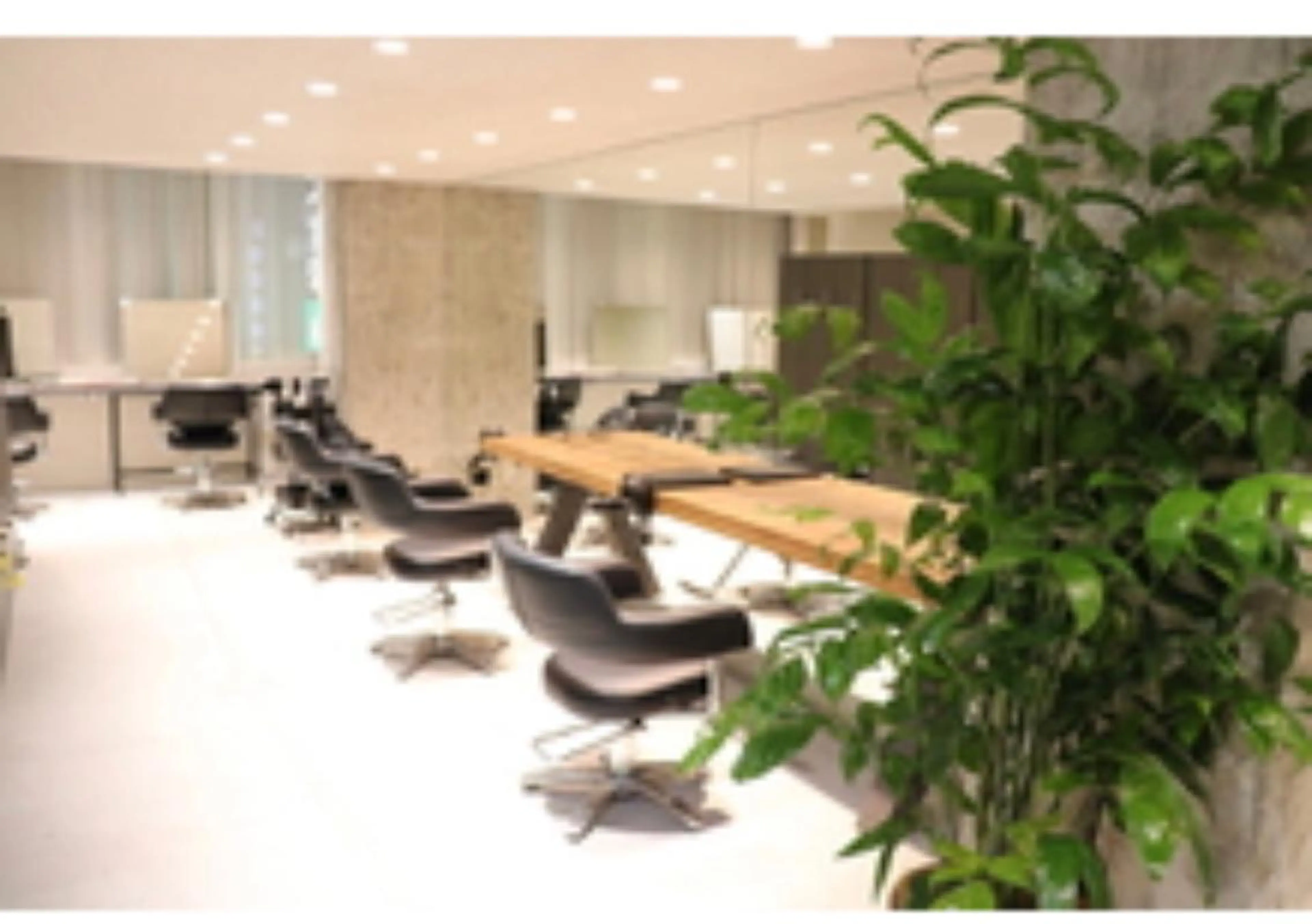 髪質改善・縮毛矯正専門店 sisi銀座所属・縮毛矯正セミナー講師 ヨコモリユウキのヘアスタイル