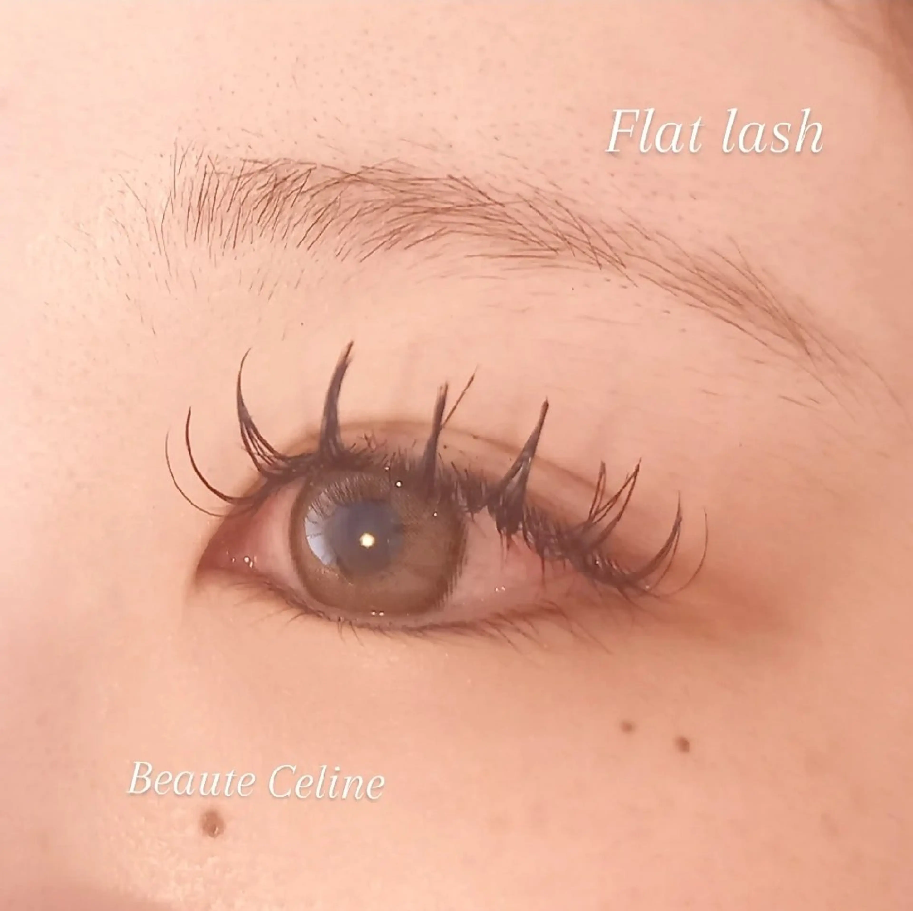 マツエク・マツパ Dカール マツエク beaute.celine所属・束感🌛beaute  celineのマツエク・マツパデザイン