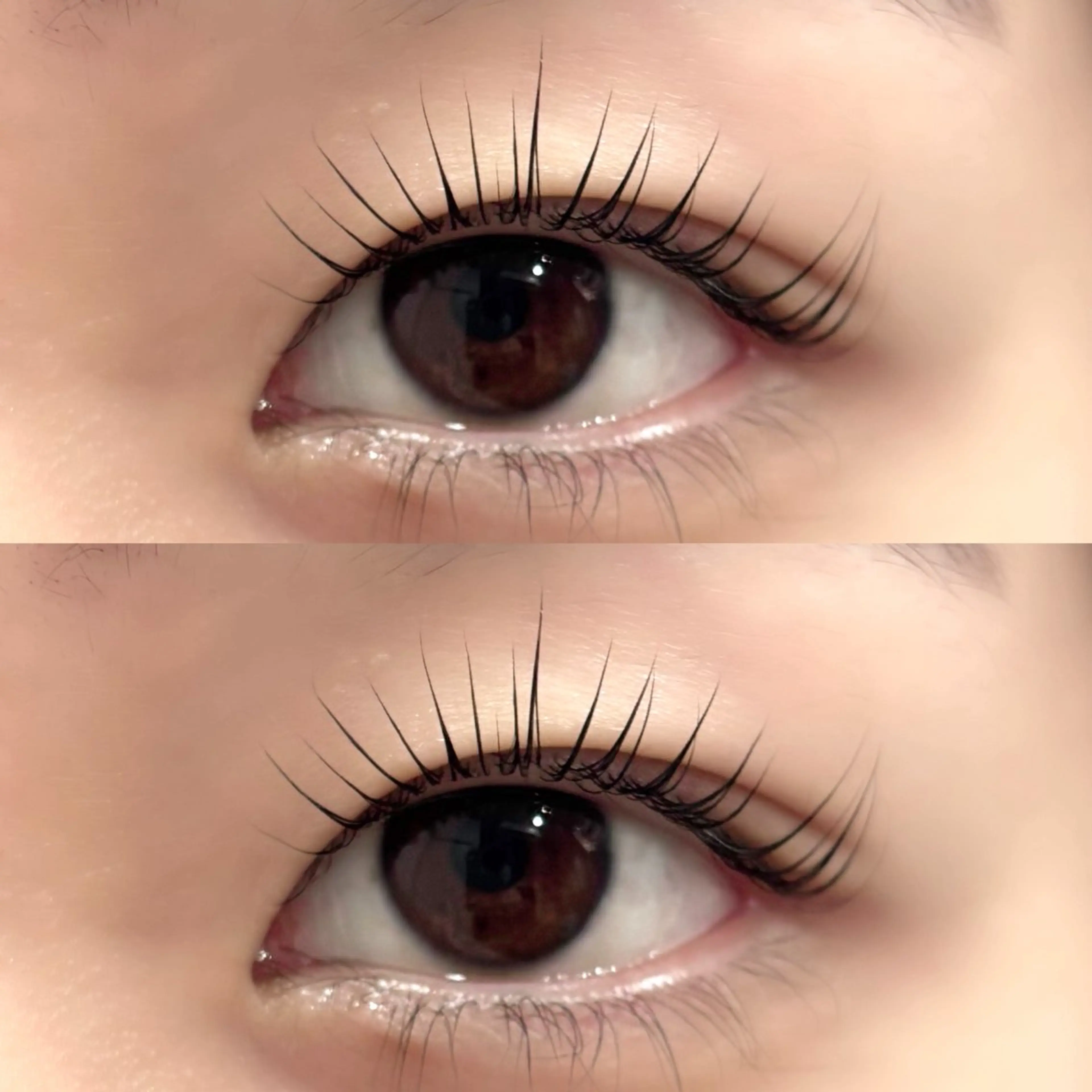 マツエク・マツパ パリジェンヌラッシュリフト Lupines Asahi🔆のマツエク・マツパデザイン