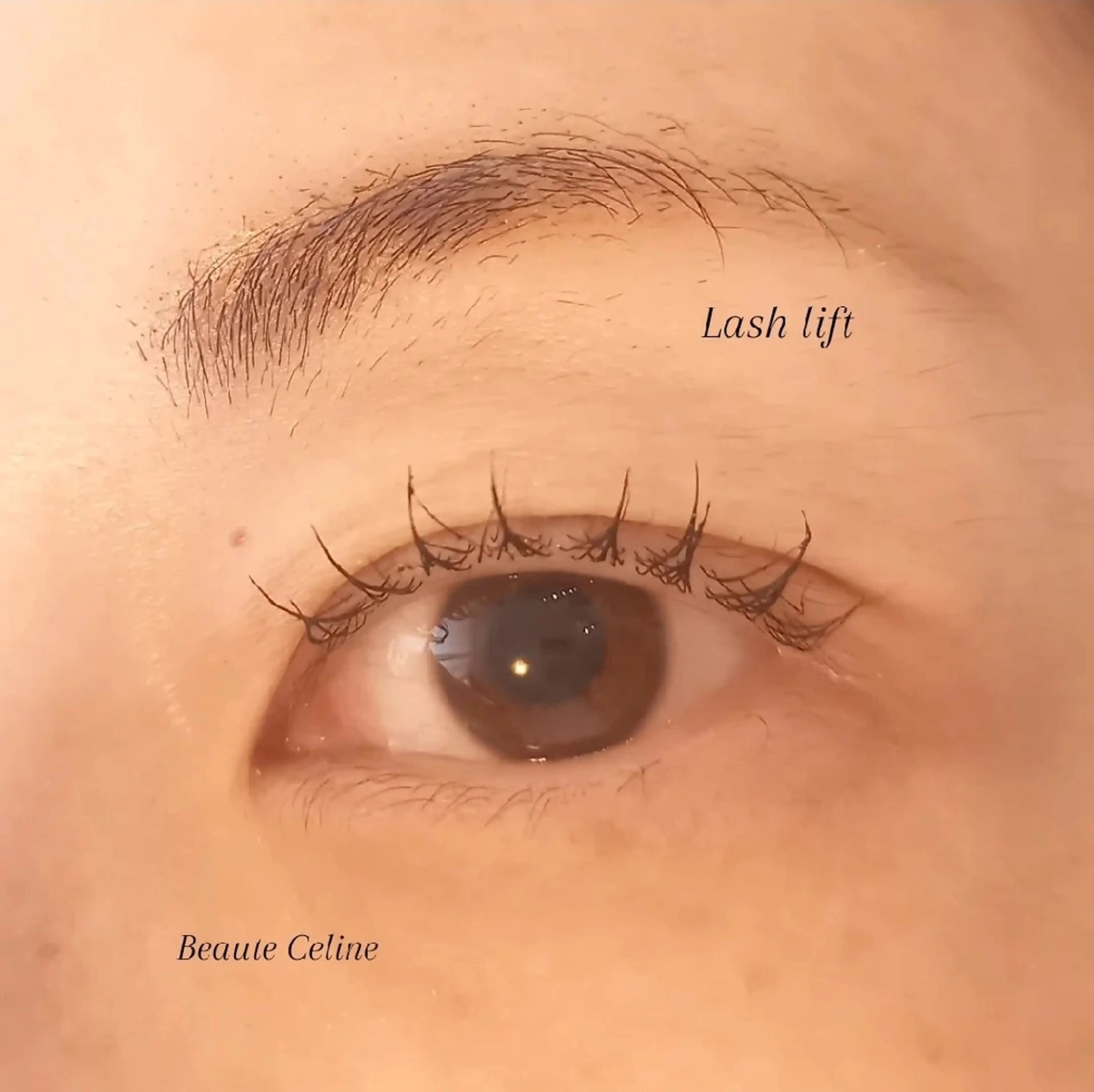 マツエク・マツパ マツパ beaute.celine所属・束感🌛beaute  celineのマツエク・マツパデザイン