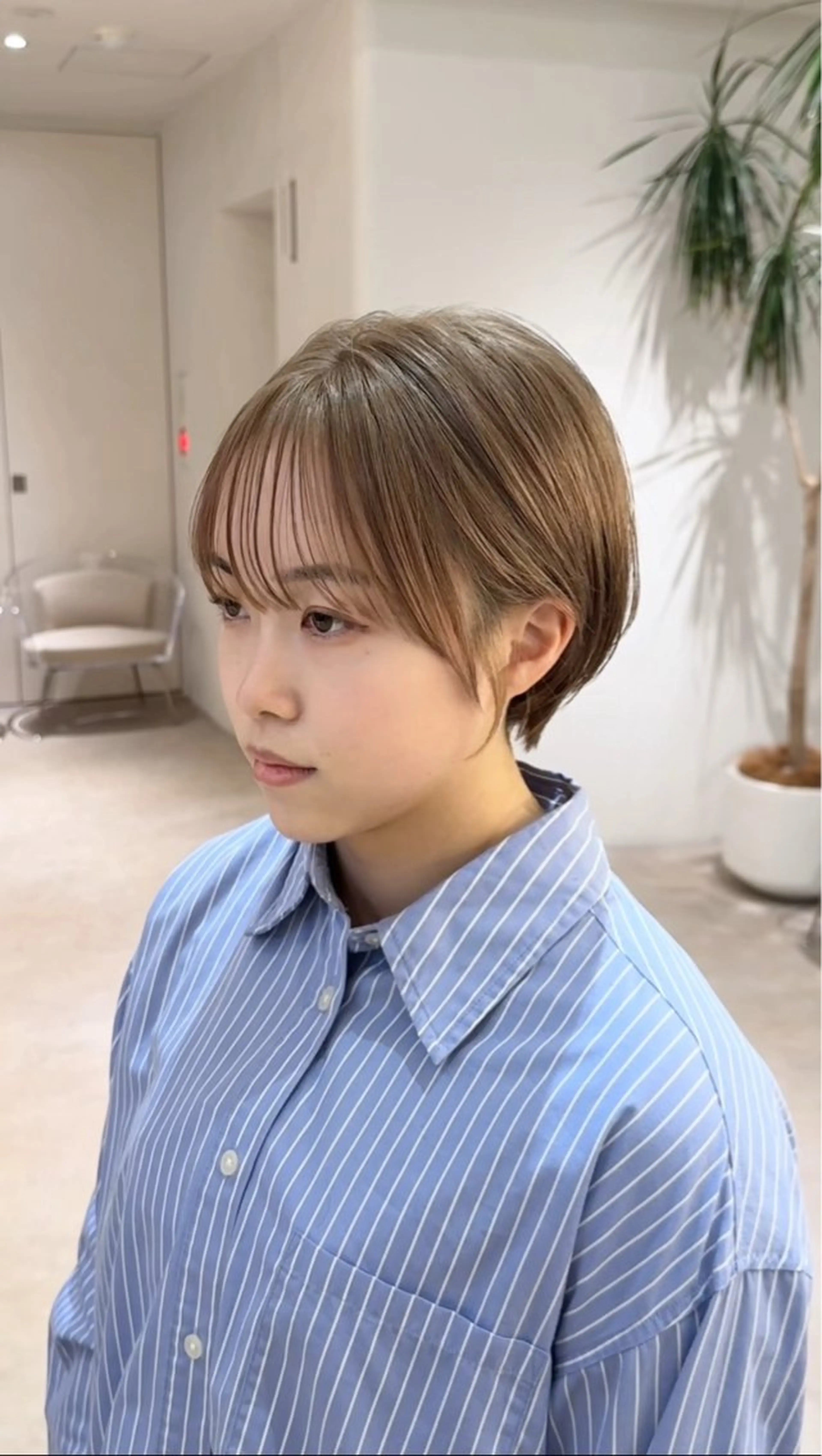 ショート カラー ショートボブ ショートレイヤー ハンサムショート 丸みショート ボブ カット 縮毛矯正 渋谷ボブ/ショート 特化田中航平のヘアスタイル
