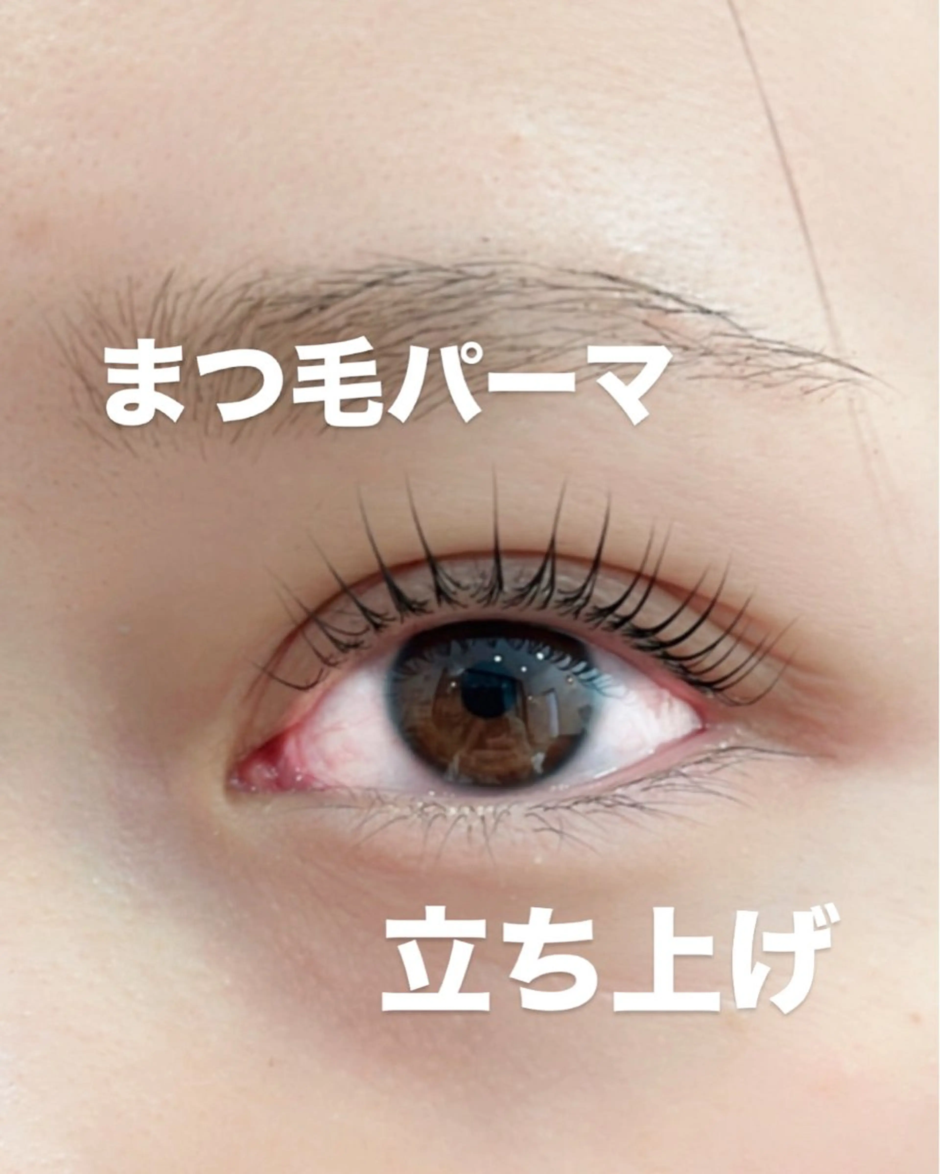 マツエク・マツパ 一重×まつ毛パーマ マツパ GRANCIEUX 黒柳伊代のマツエク・マツパデザイン