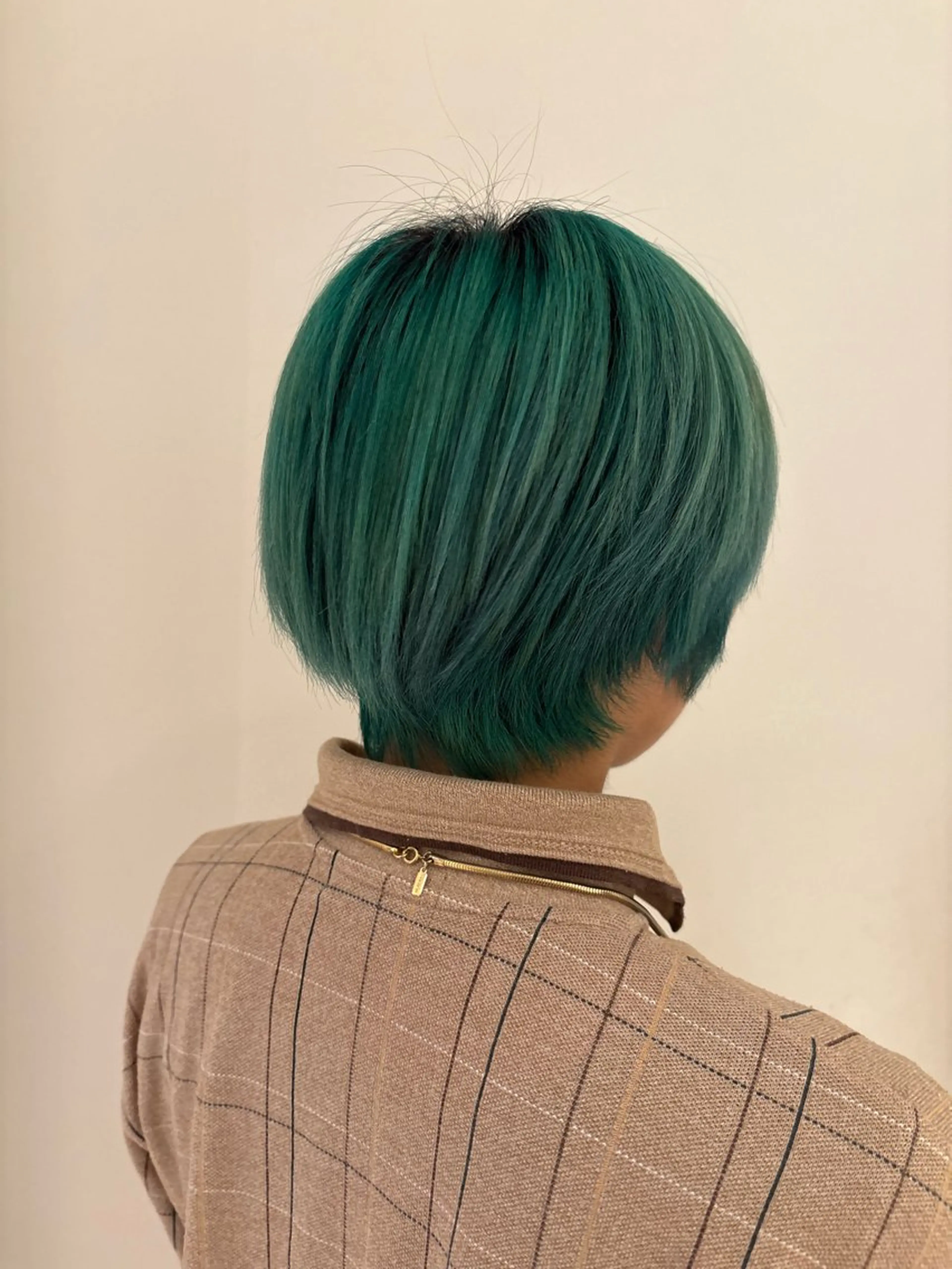 ショート カラー グラデーションカラー ヘアカラー shizuki🌙 /ヘアカラーのヘアスタイル