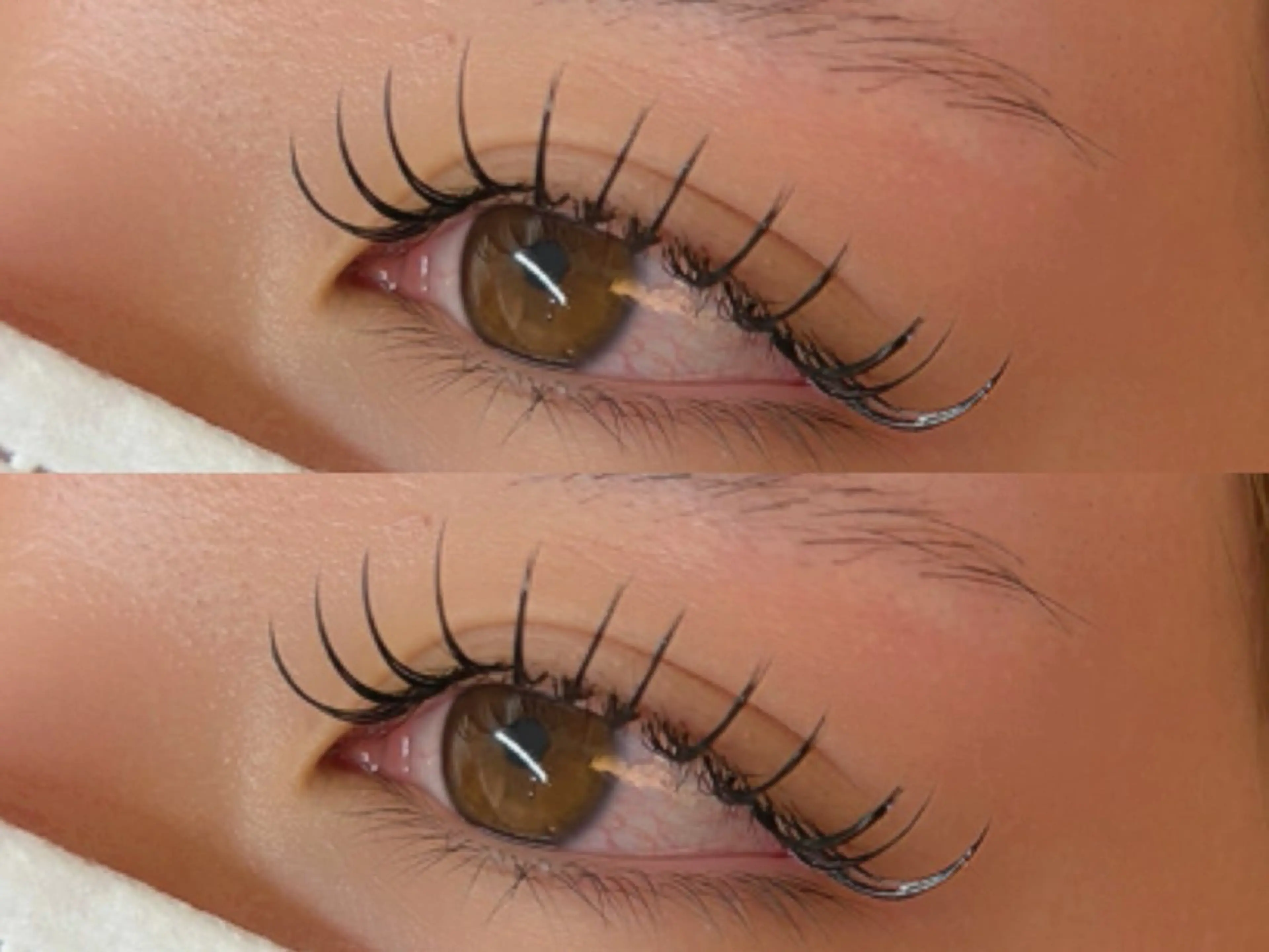 マツエク・マツパ マツエク 岩淵 奏音のマツエク・マツパデザイン