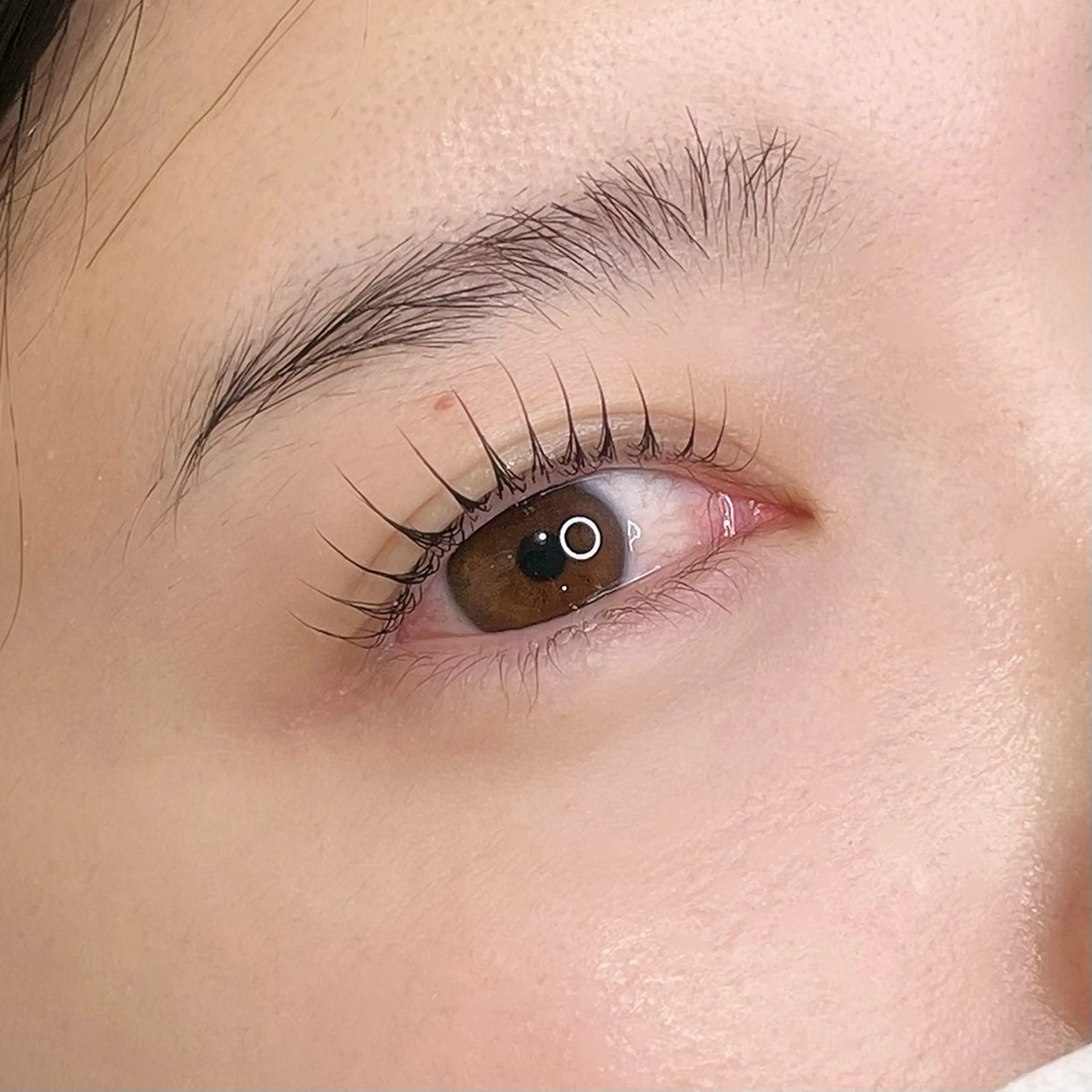 🌟学生限定(U24)🌟ラッシュリフト¥4,000の写真