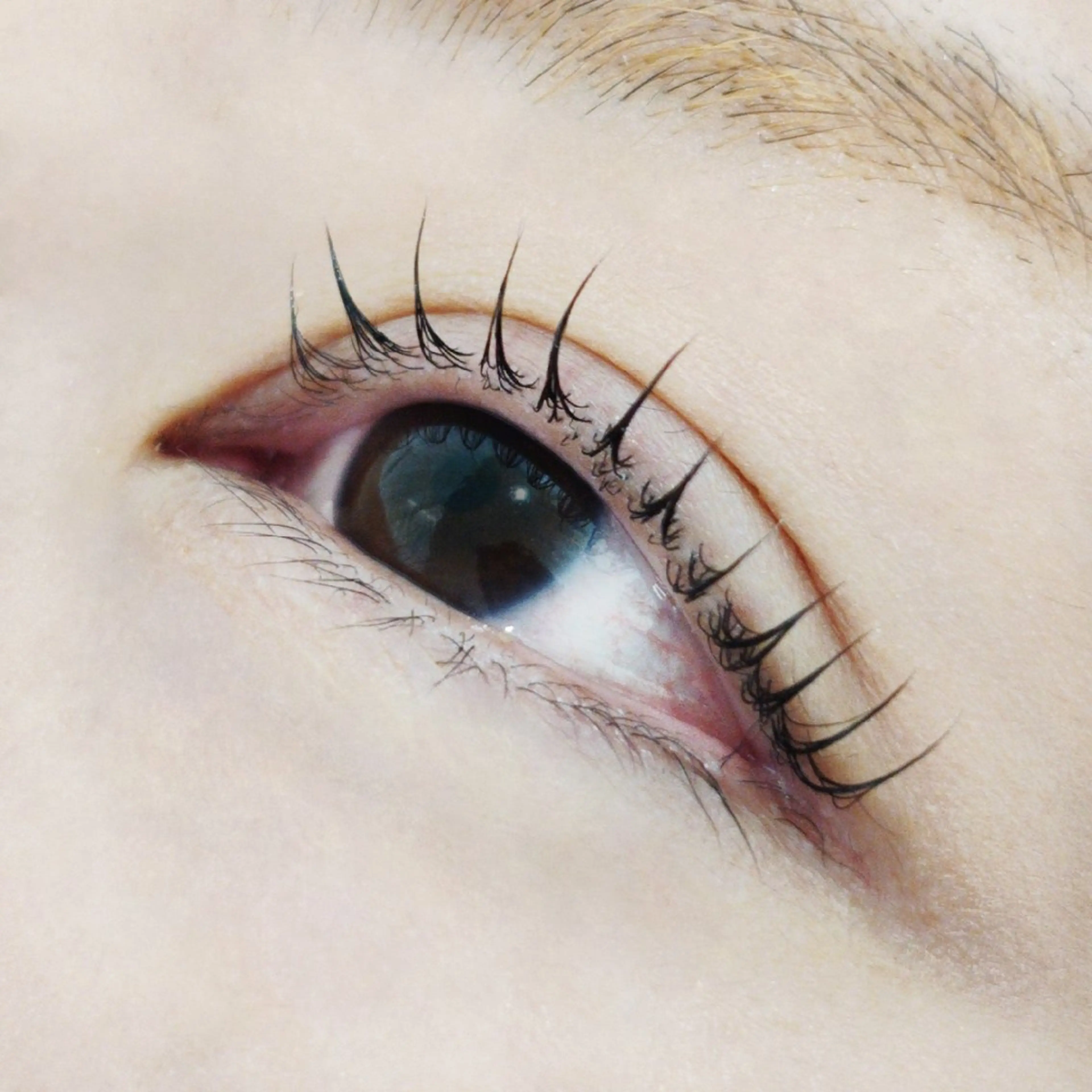 パーマ KANOA:) miyuのマツエク・マツパデザイン