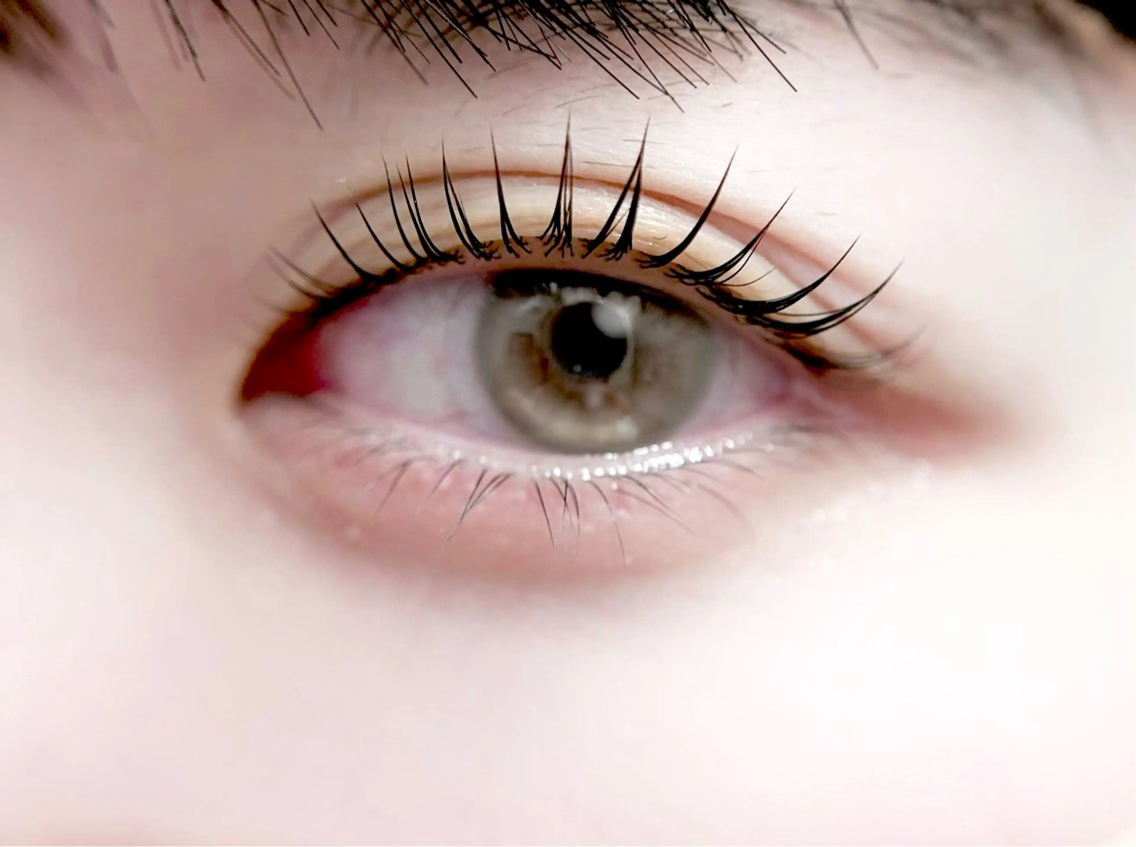 マツエク・マツパ eyelist. mizuki🐈⬛の眉毛・アイブロウイメージ