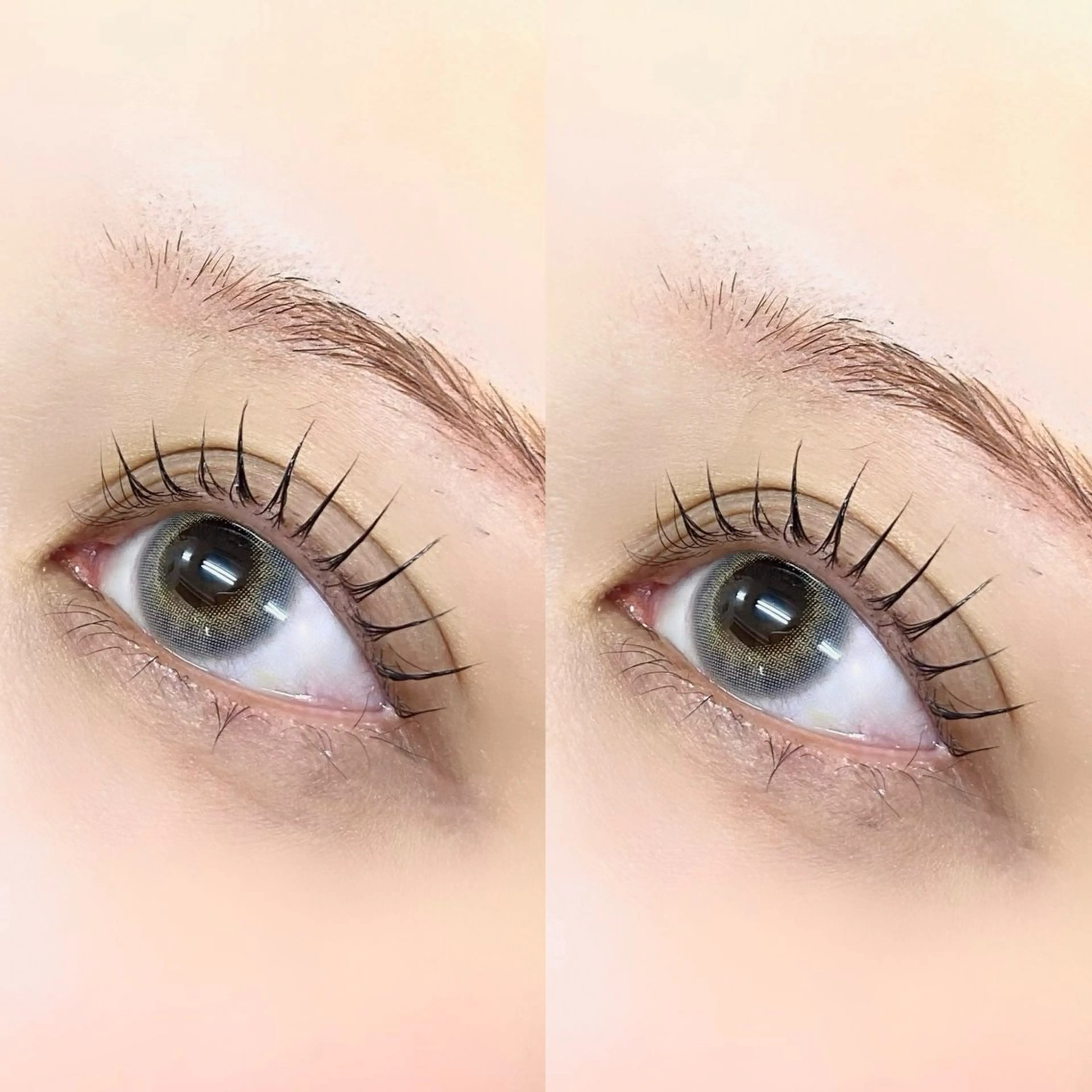 限定‼️✨まつげパーマ〈上〉韓国風束感コーティング付き✨［神楽坂/飯田橋］の写真