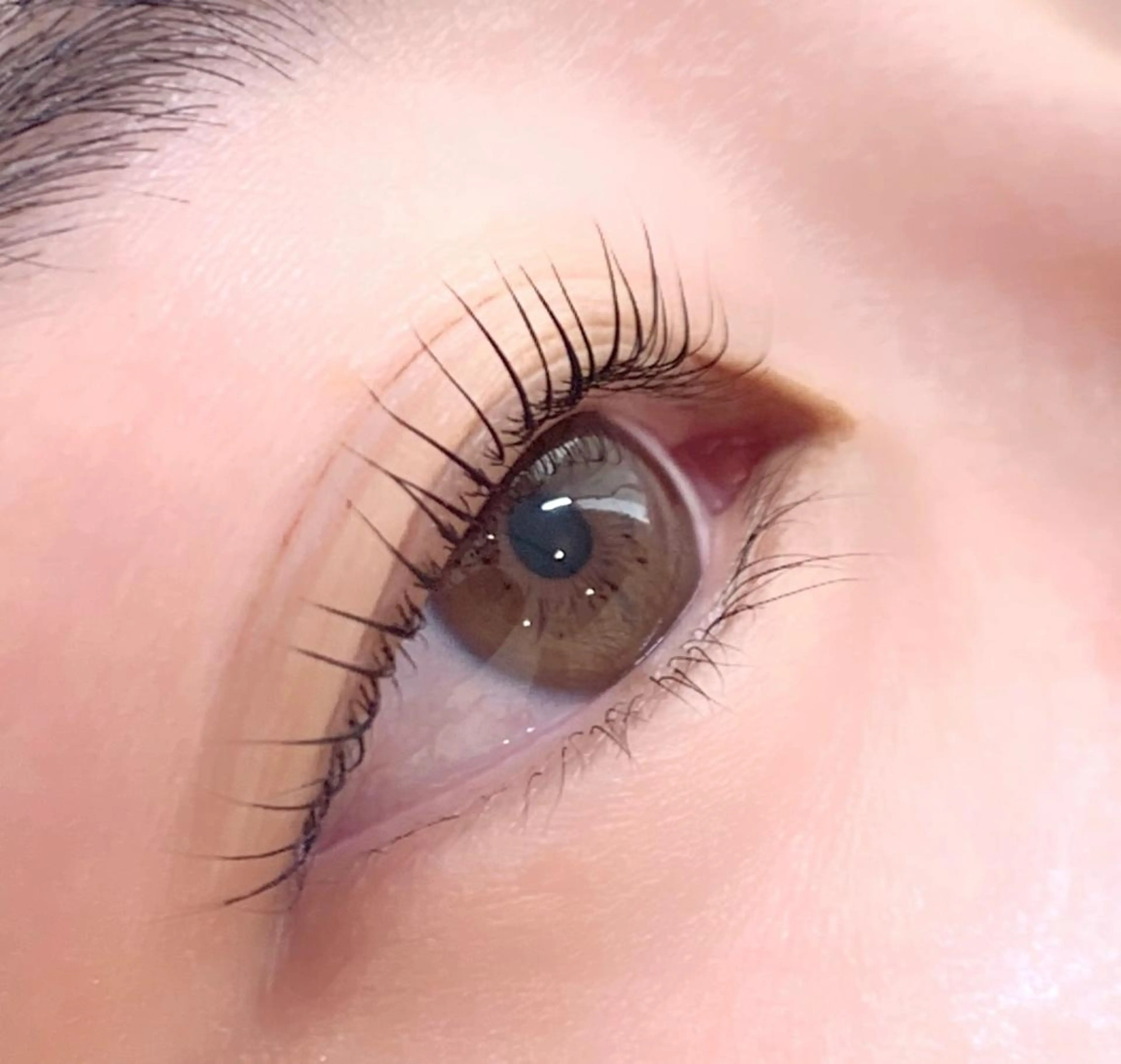 マツエク・マツパ Mysarest 加藤のエステ・リラクイメージ