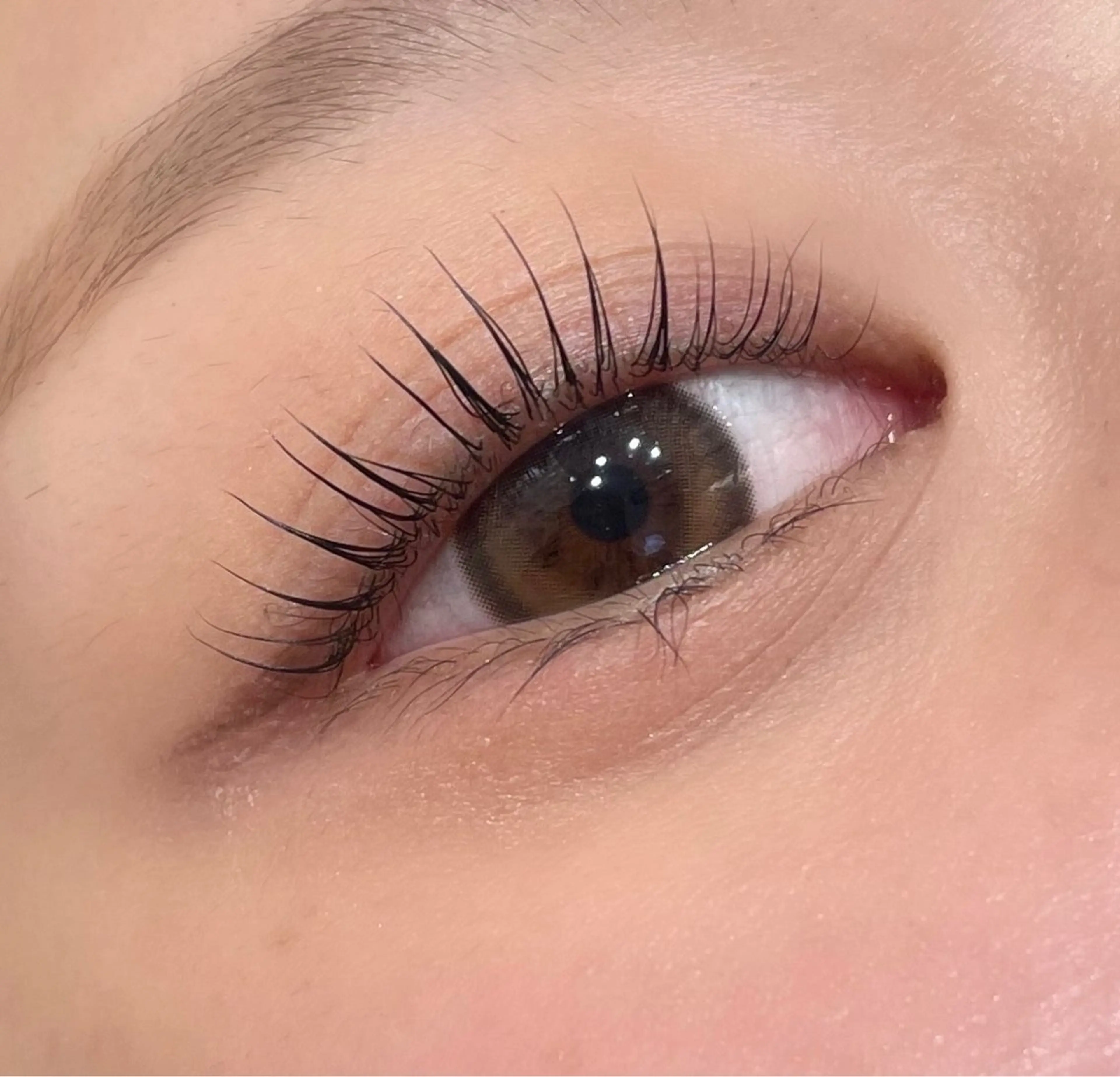 当店初利用の方限定♡ラッシュリフト♡まつげパーマの写真