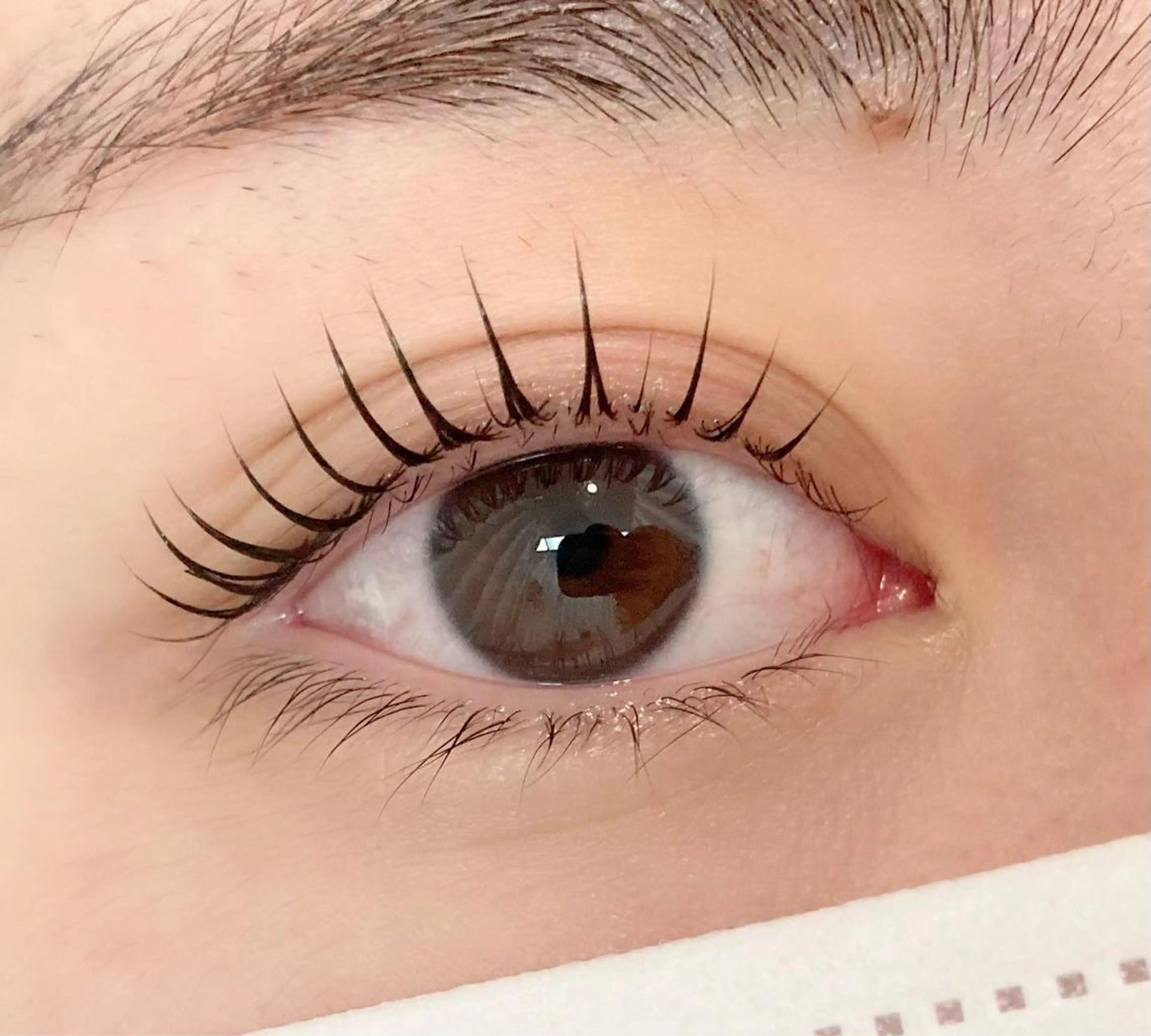 マツエク・マツパ マツパ Privatesalon tan＊tan【プライベートサロン　タンタン】所属・塚田 里香のマツエク・マツパデザイン