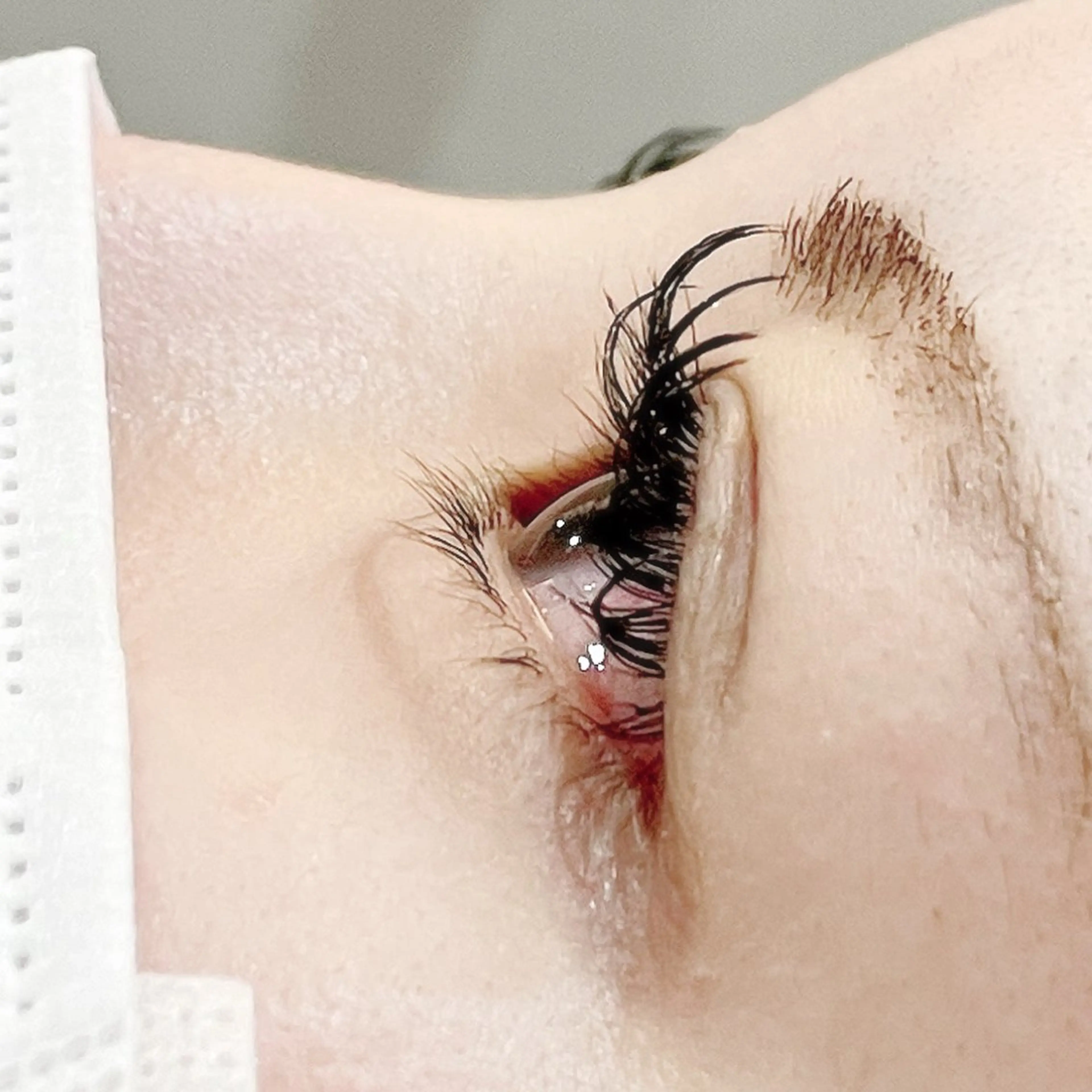 フラットラッシュ100本の写真