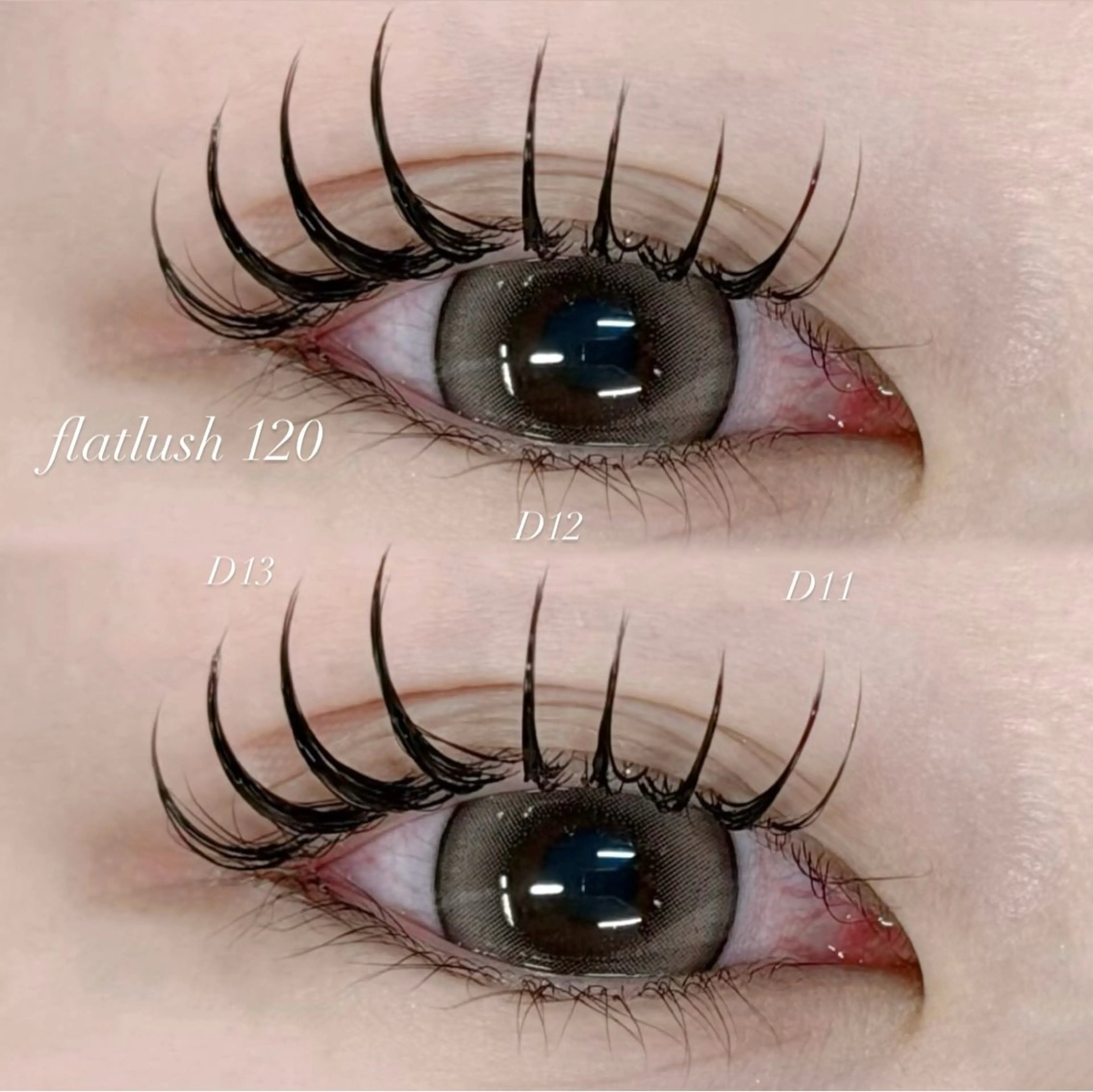 【12月限定】🌻シングルラッシュ 120本🌻 ※オフ無の写真