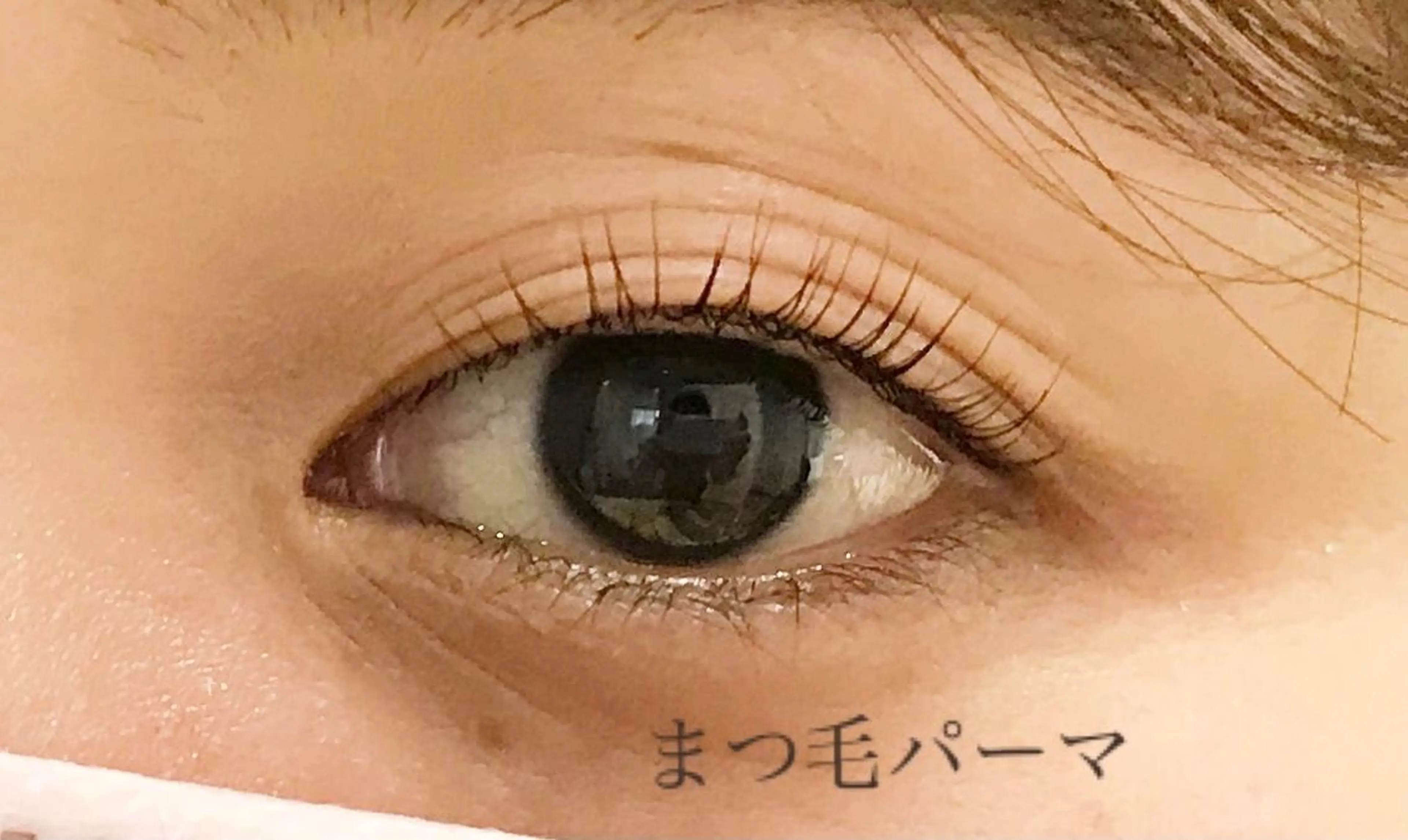 マツエク・マツパ 一重×まつ毛パーマ carpe Marais所属・carpe Maraisのマツエク・マツパデザイン