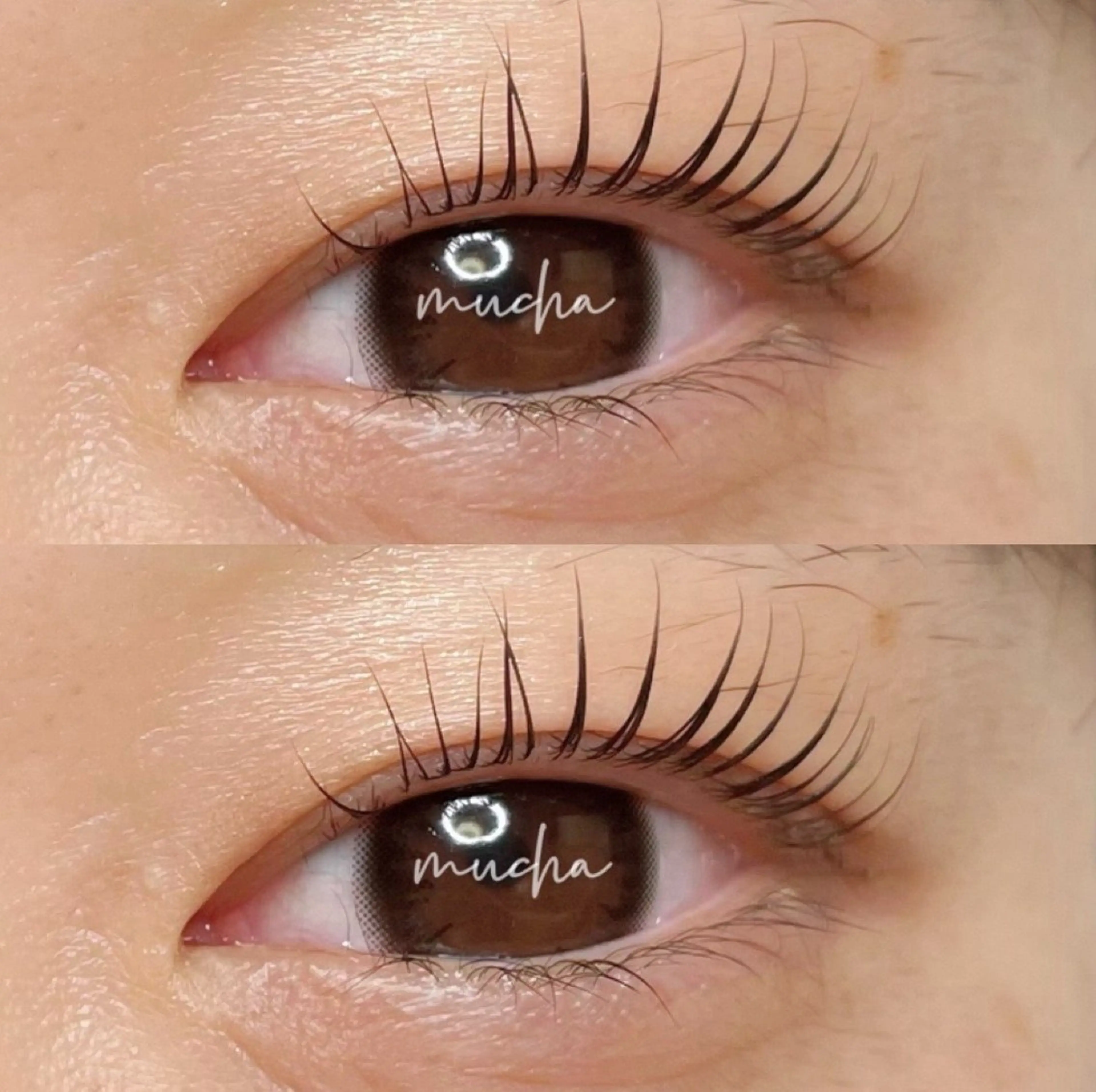 マツエク・マツパ eyelash muchaの眉毛・アイブロウイメージ