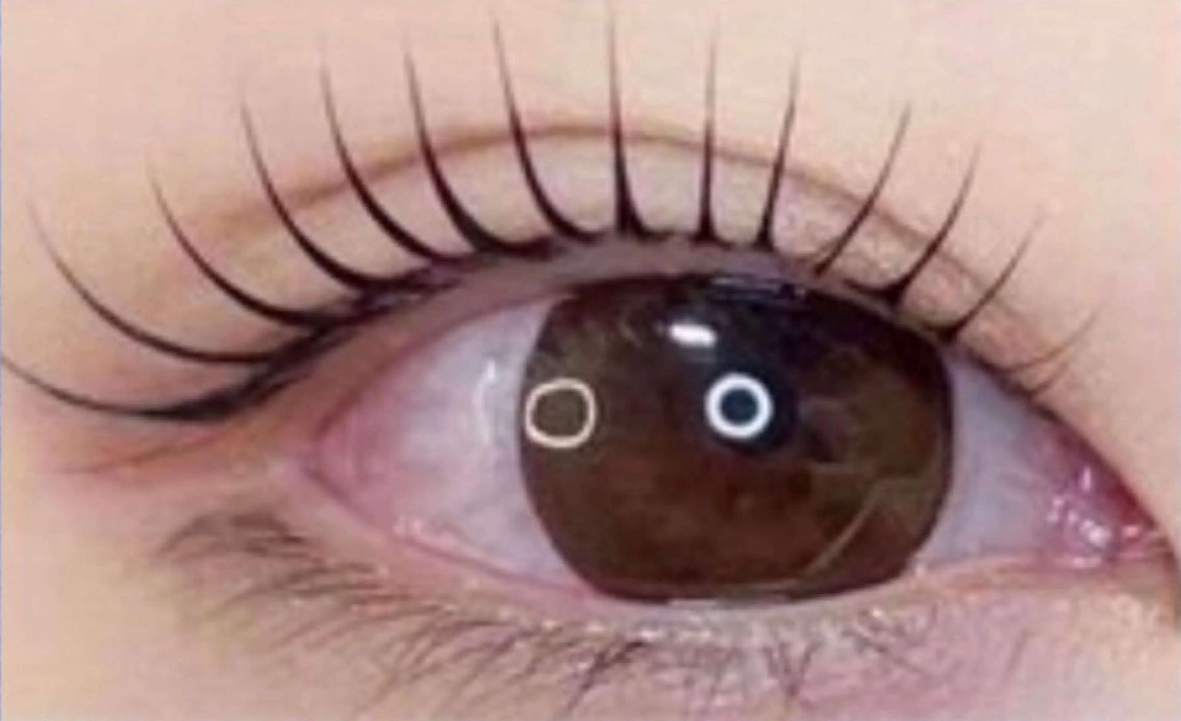 メーテルの写真