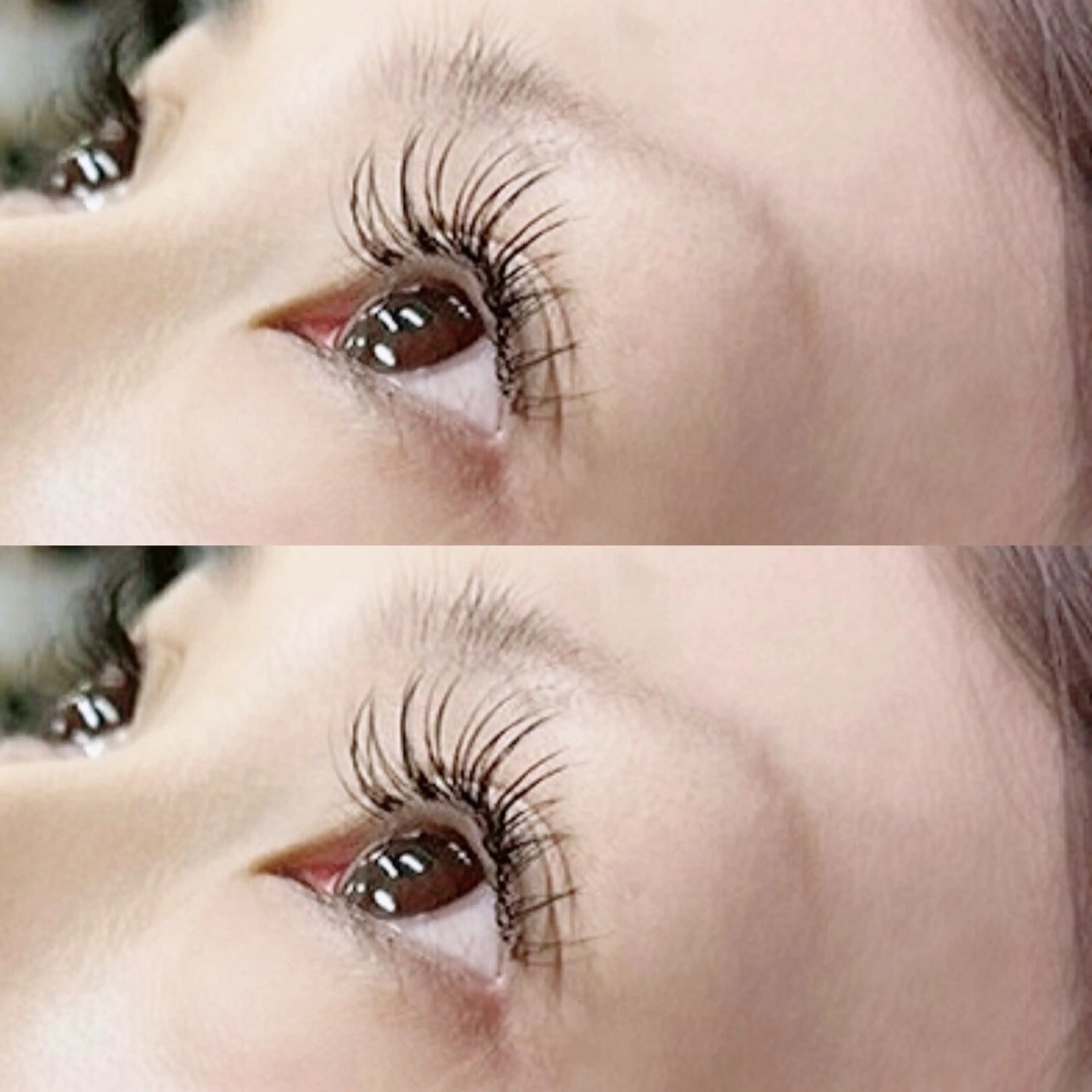 マツエク・マツパ マツエク TRU🦖 RIONA✮*。゚の眉毛・アイブロウイメージ