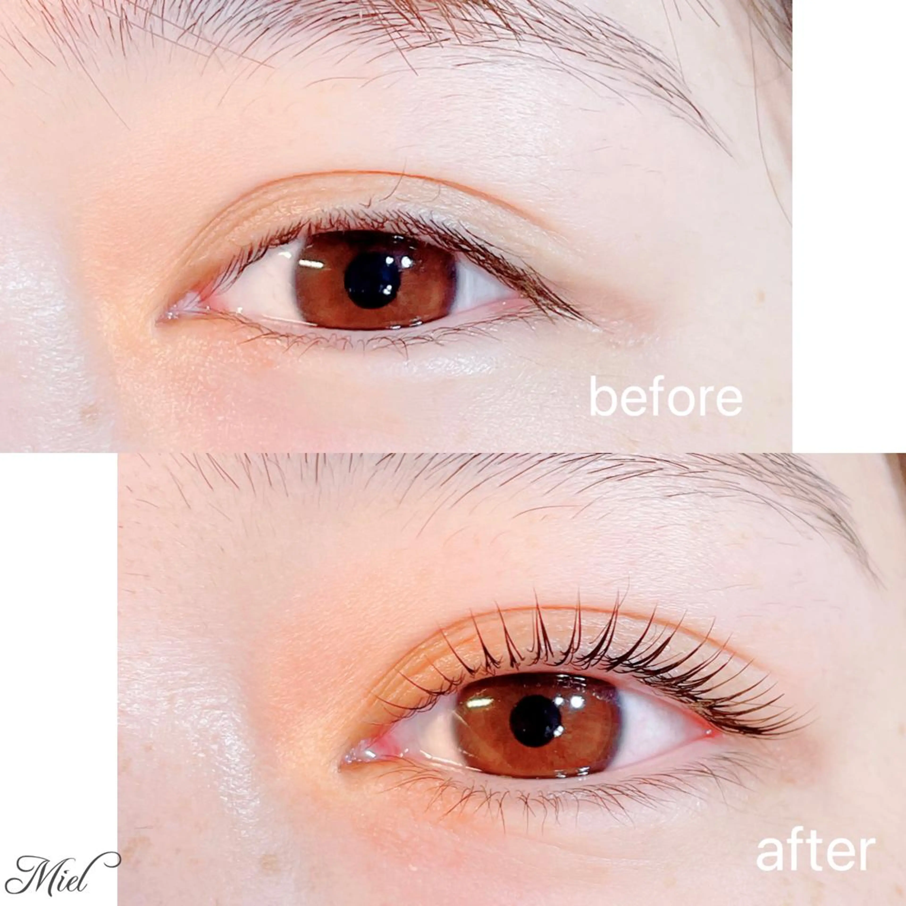 マツエク・マツパ パリジェンヌラッシュリフト まつげパーマ Mori ✨Mystical✨のマツエク・マツパデザイン