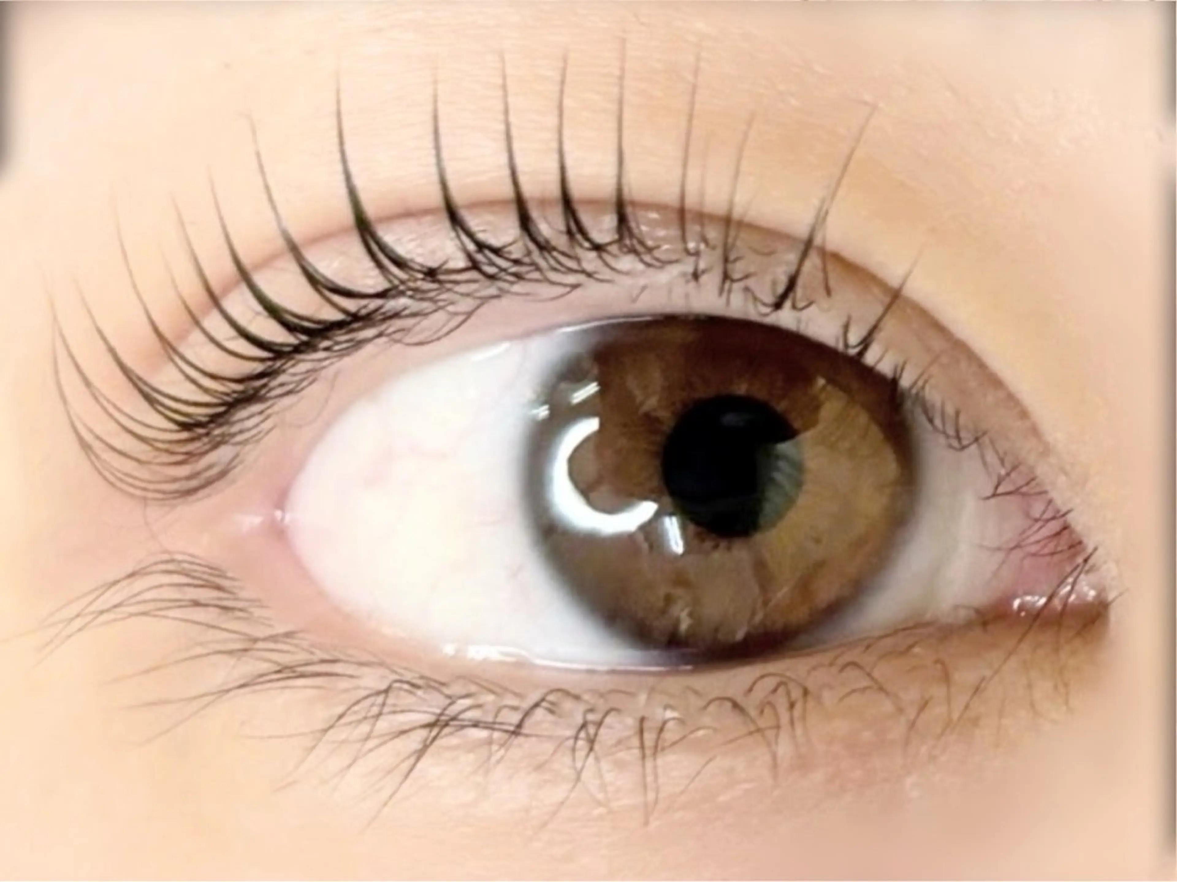 マツエク・マツパ eyelash salon Premo所属・Premo(プレモ) ／kanaのマツエク・マツパデザイン