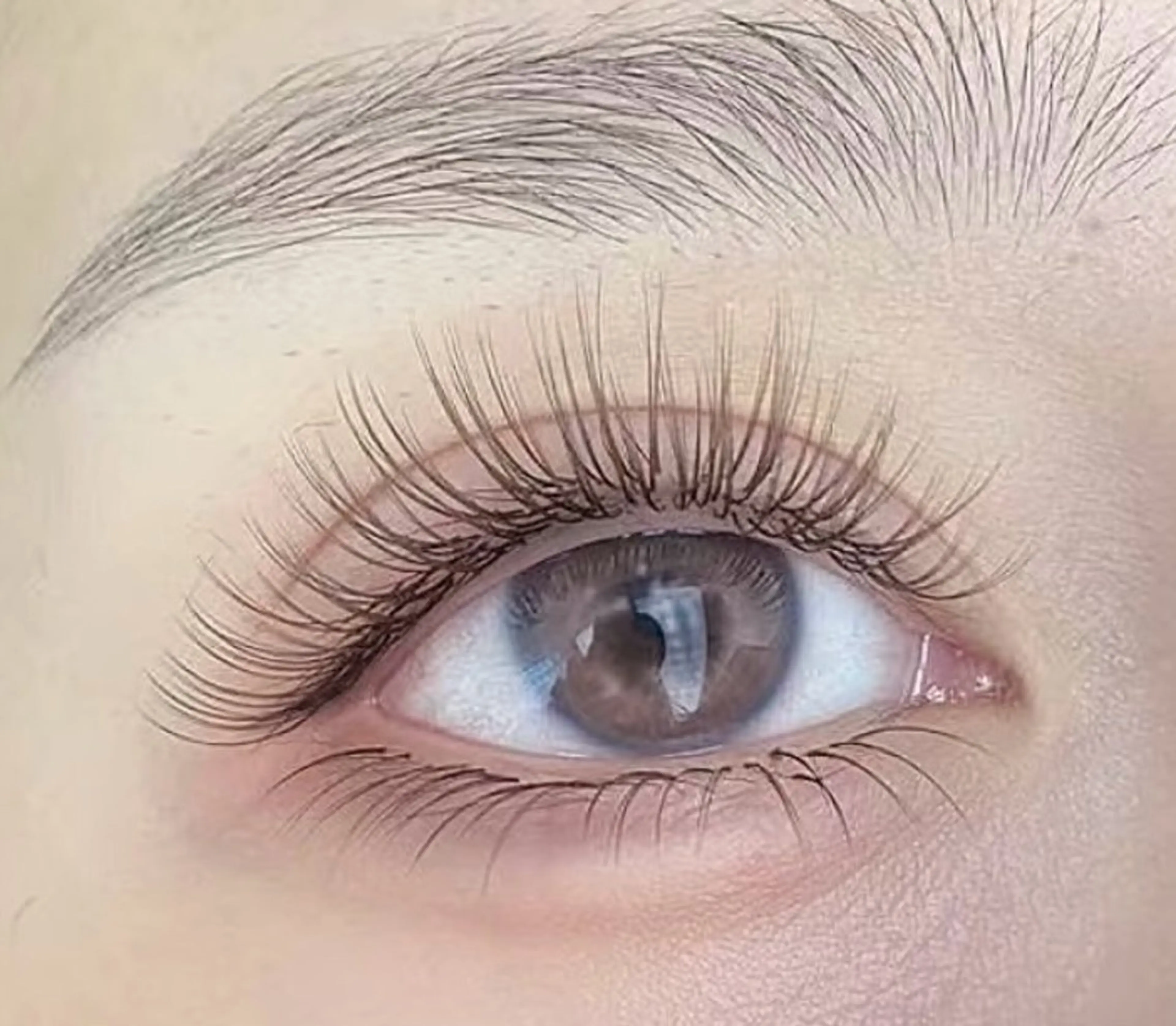 【6月限定オフ無し付け足しのみ】最高級フッラトラッシュ60本の写真