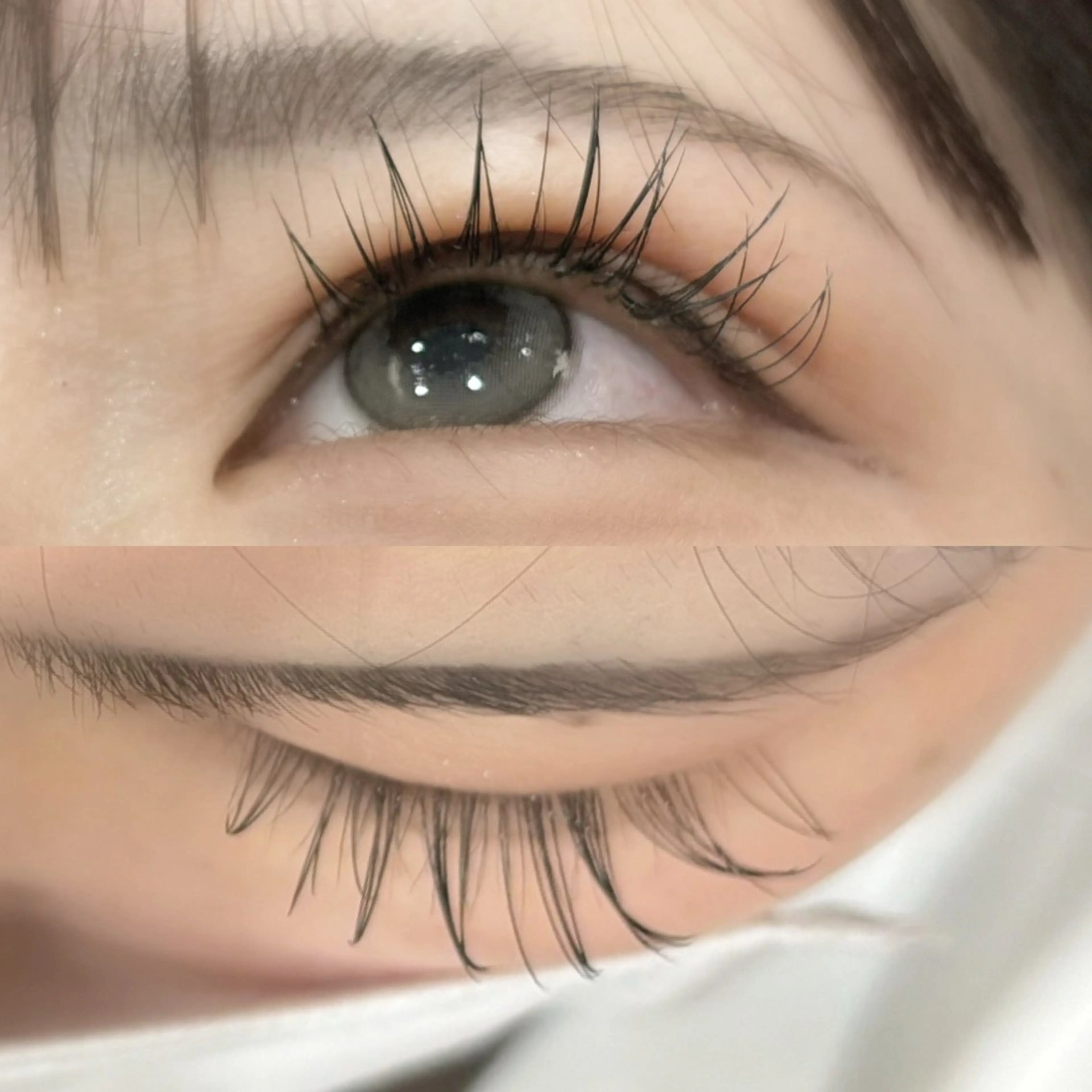 マツエク・マツパ Dカール セーブル Dolly Lash 松本のマツエク・マツパデザイン