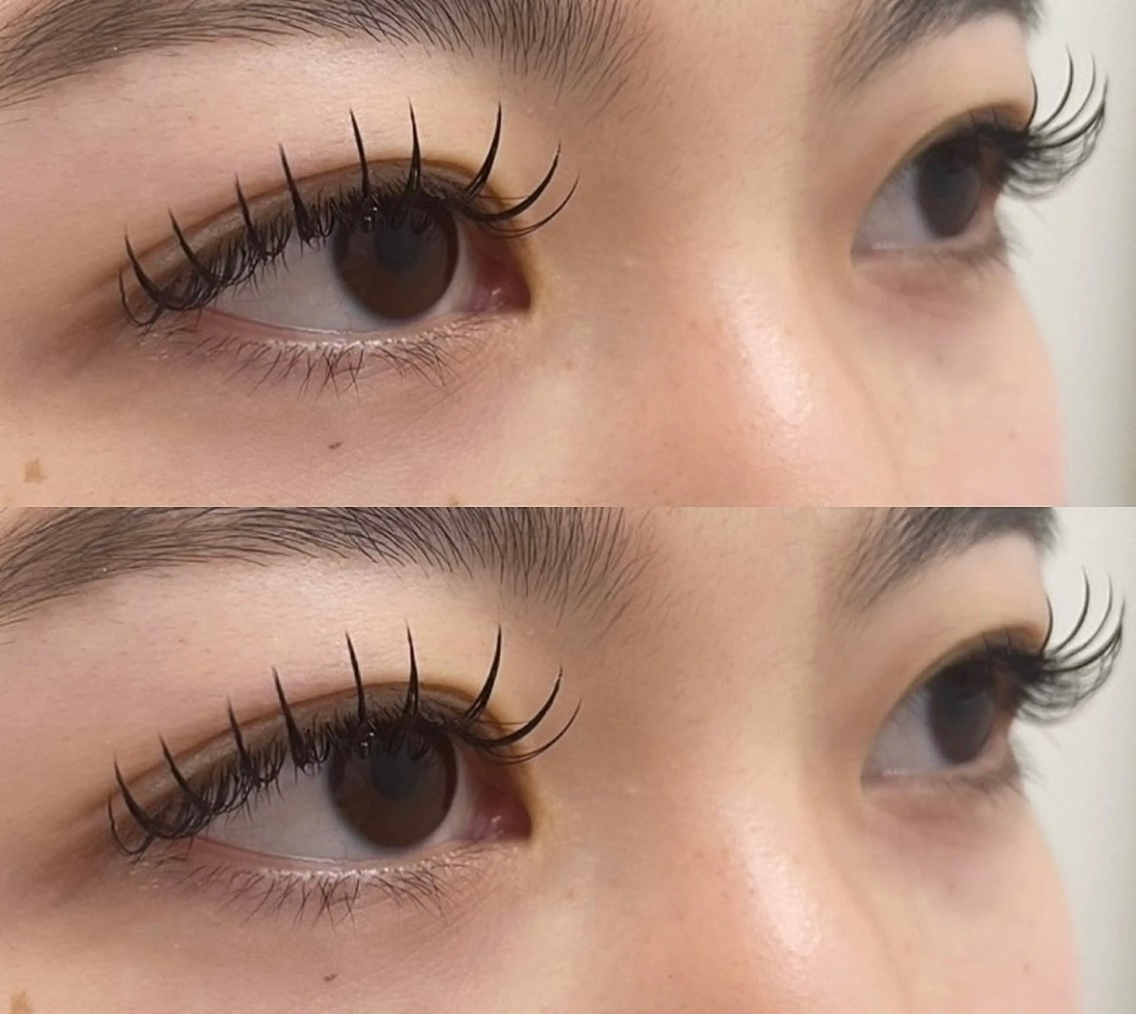 マツエク・マツパ 束感まつ毛 Dカール ヘアメイク　カリス　ガーデン所属・🤍SASAKI NAO🤍のマツエク・マツパデザイン