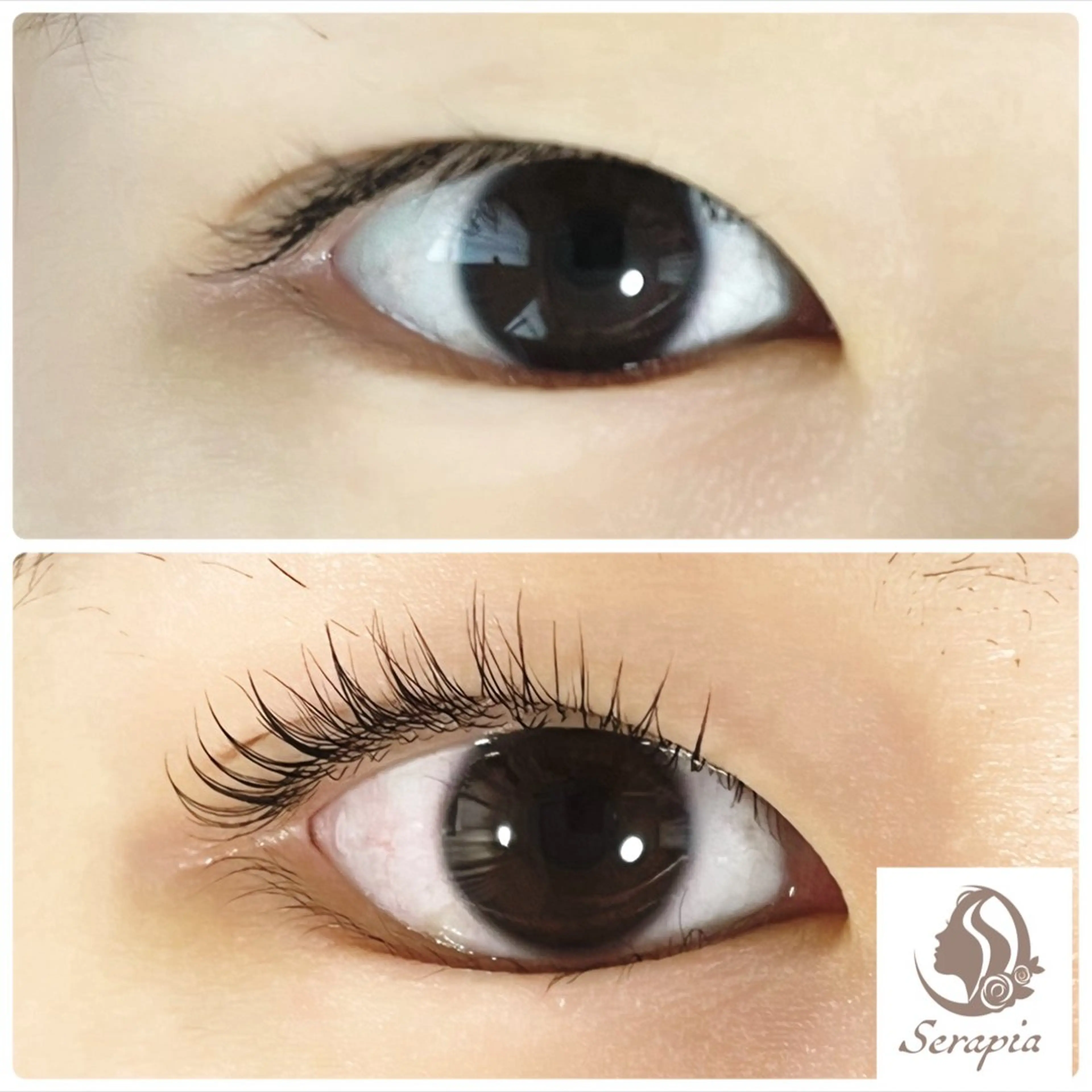 マツエク・マツパ Serapia 【セラピア】のマツエク・マツパデザイン