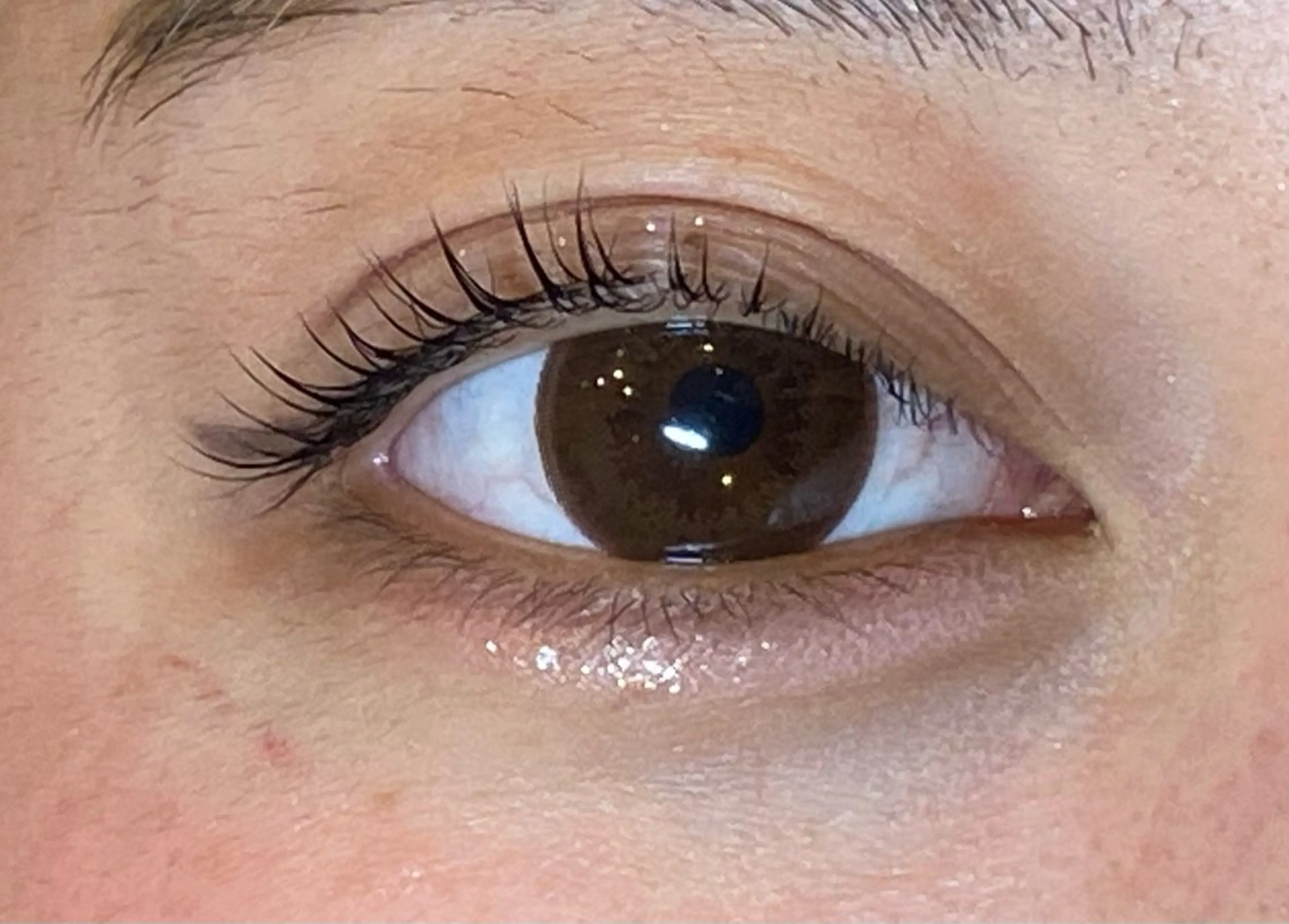 マツエク・マツパ Daisy lash 京橋店堀井のマツエク・マツパデザイン