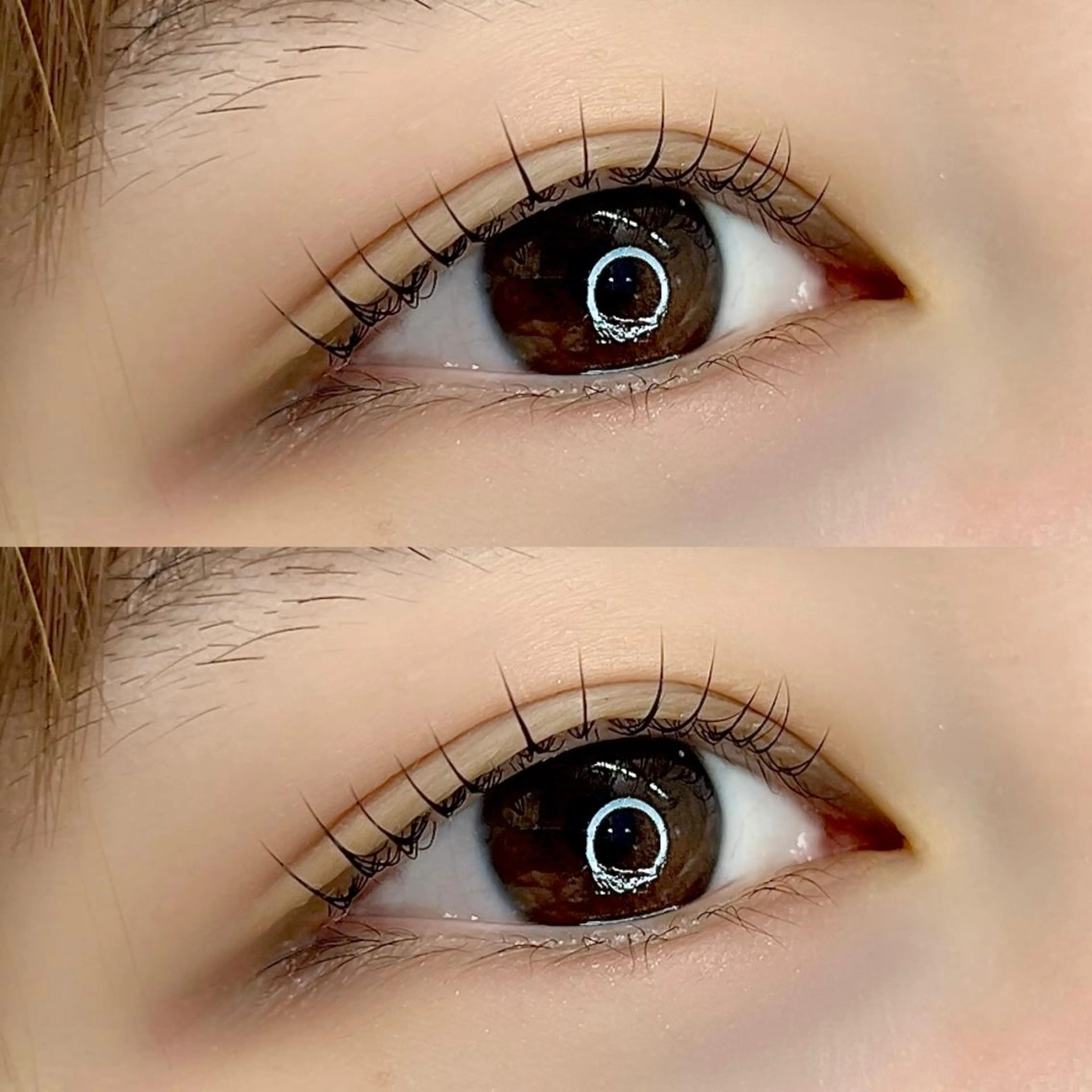 マツエク・マツパ eyelash&nail M所属・仙台・ᴇʏᴇʟᴀsʜ 〖ʜᴀʀᴜɴᴀ〗のマツエク・マツパデザイン