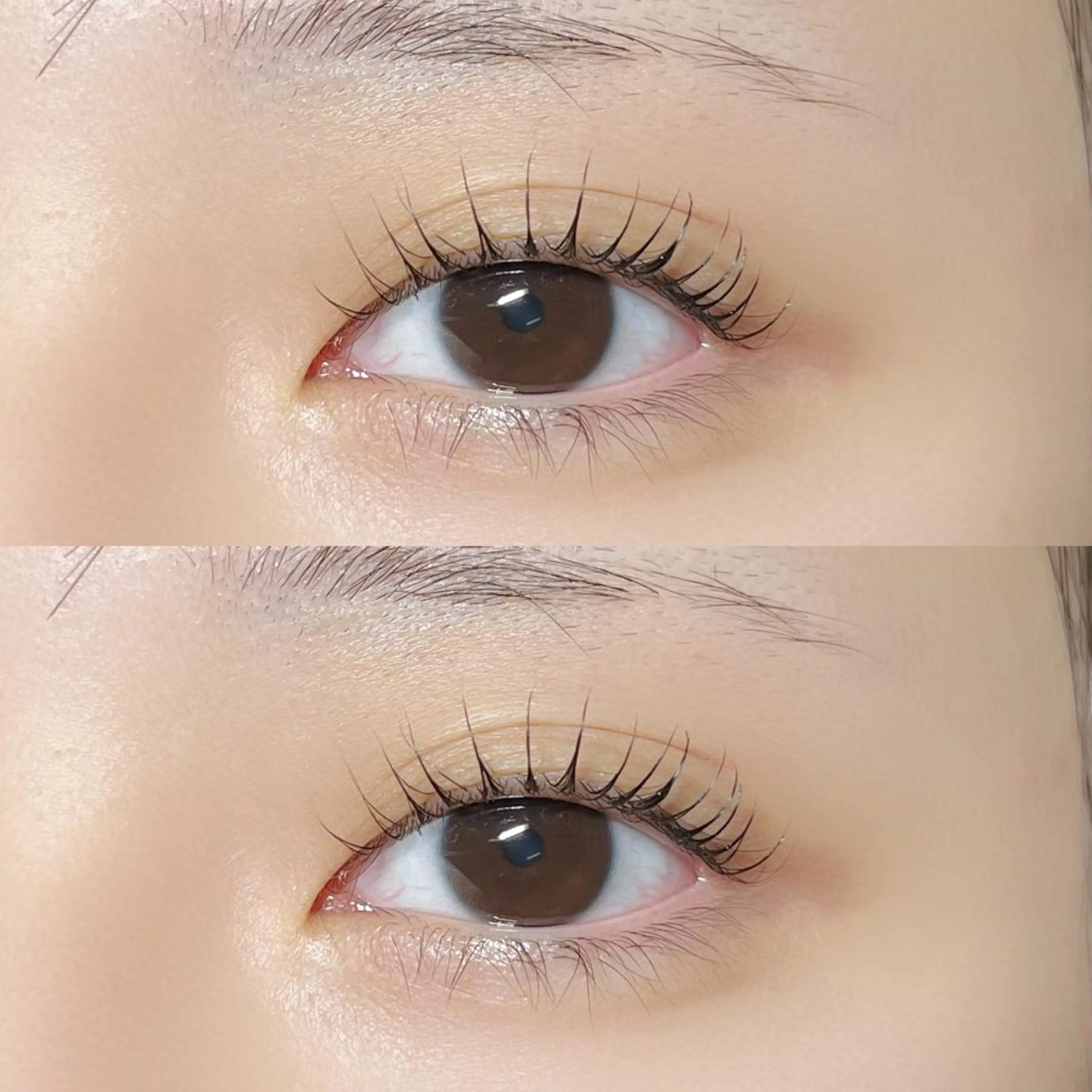 マツエク・マツパ Milobyking 🍒rihoの眉毛・アイブロウイメージ