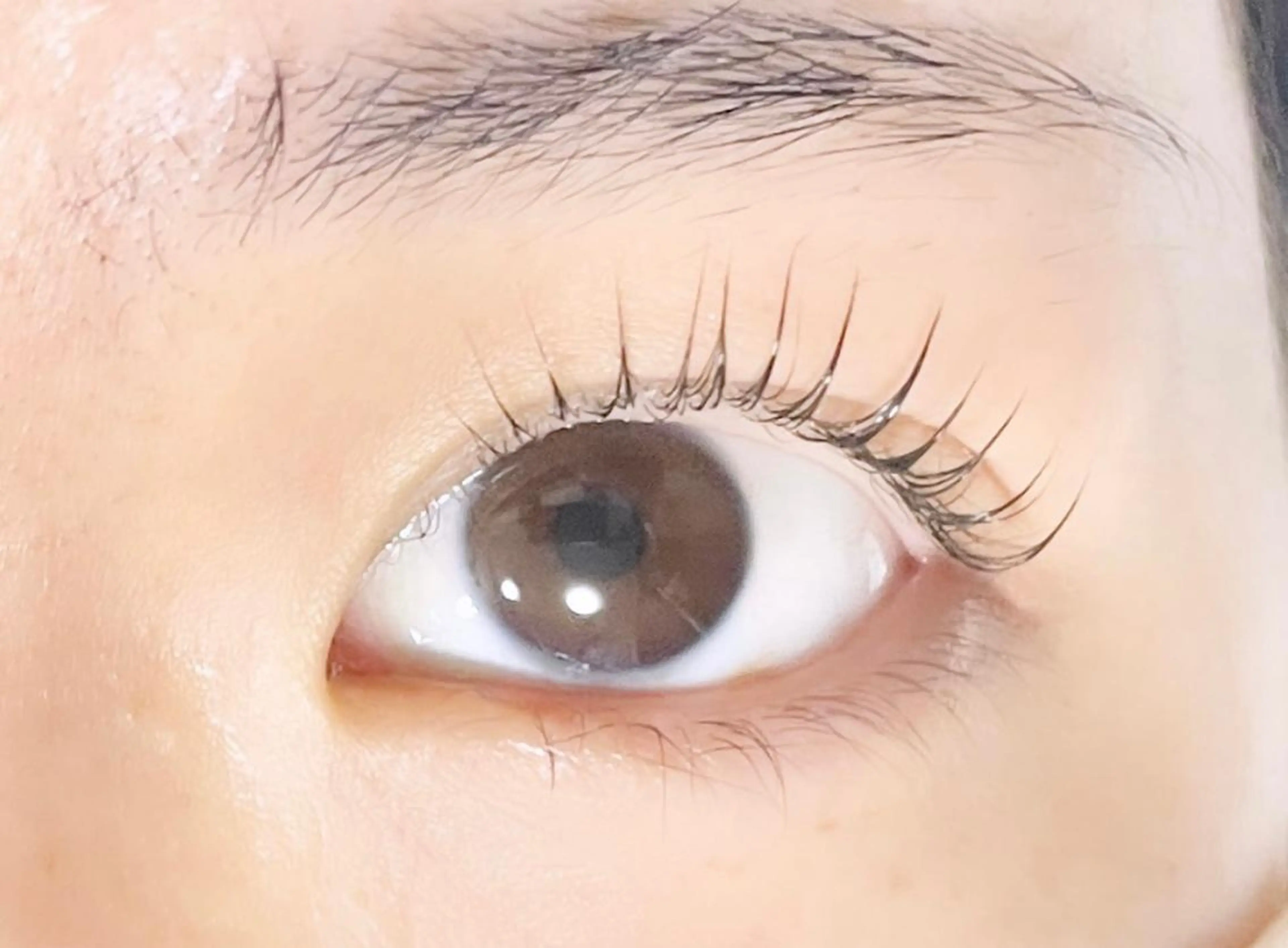 マツエク・マツパ パリジェンヌラッシュリフト 一重×まつ毛パーマ TAKEO🖤 マリーテレジア藤が丘のマツエク・マツパデザイン