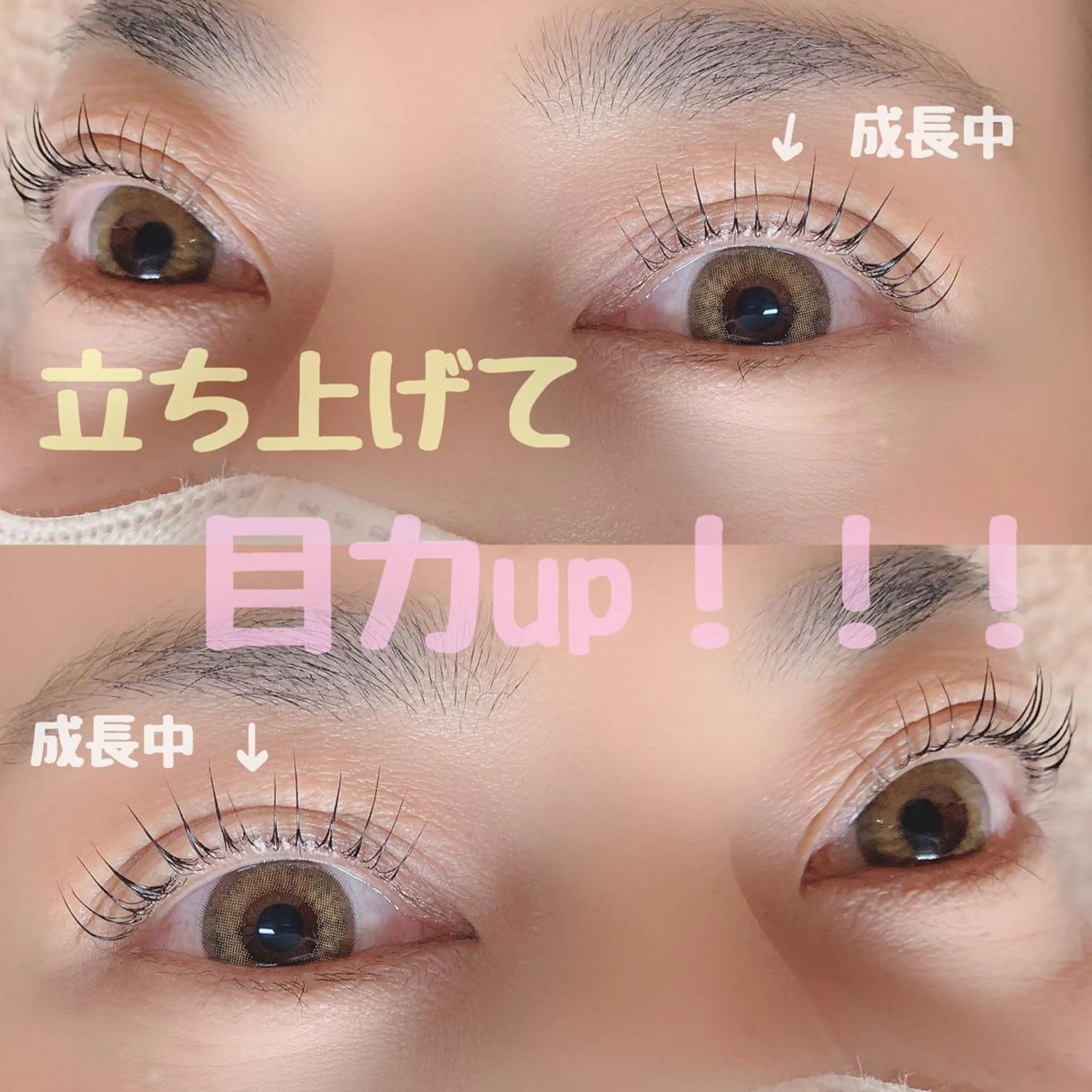マツエク・マツパ パリジェンヌラッシュリフト マツパ 上田 里佳のマツエク・マツパデザイン