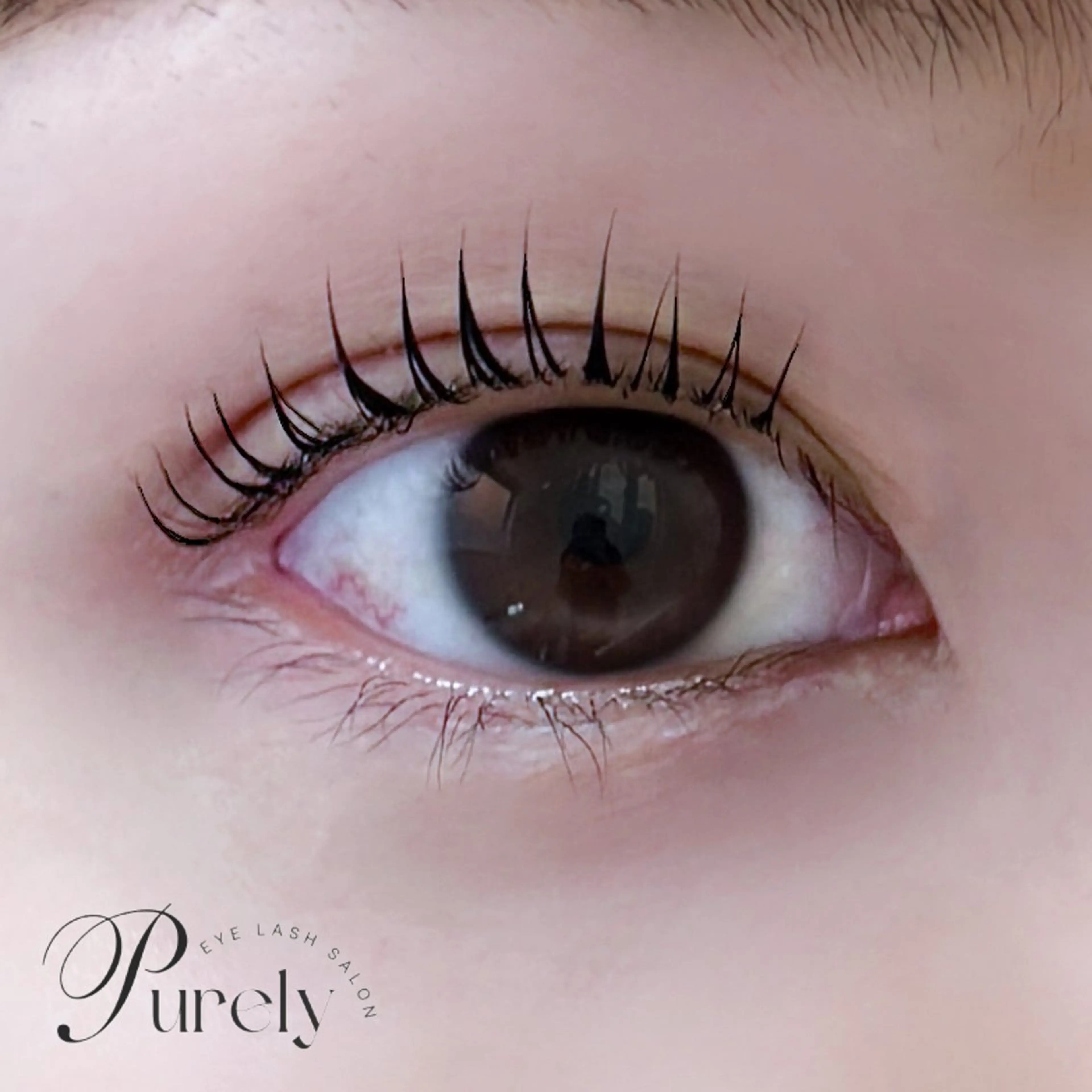 マツエク・マツパ マツパ Purely 🤍Purelyのマツエク・マツパデザイン
